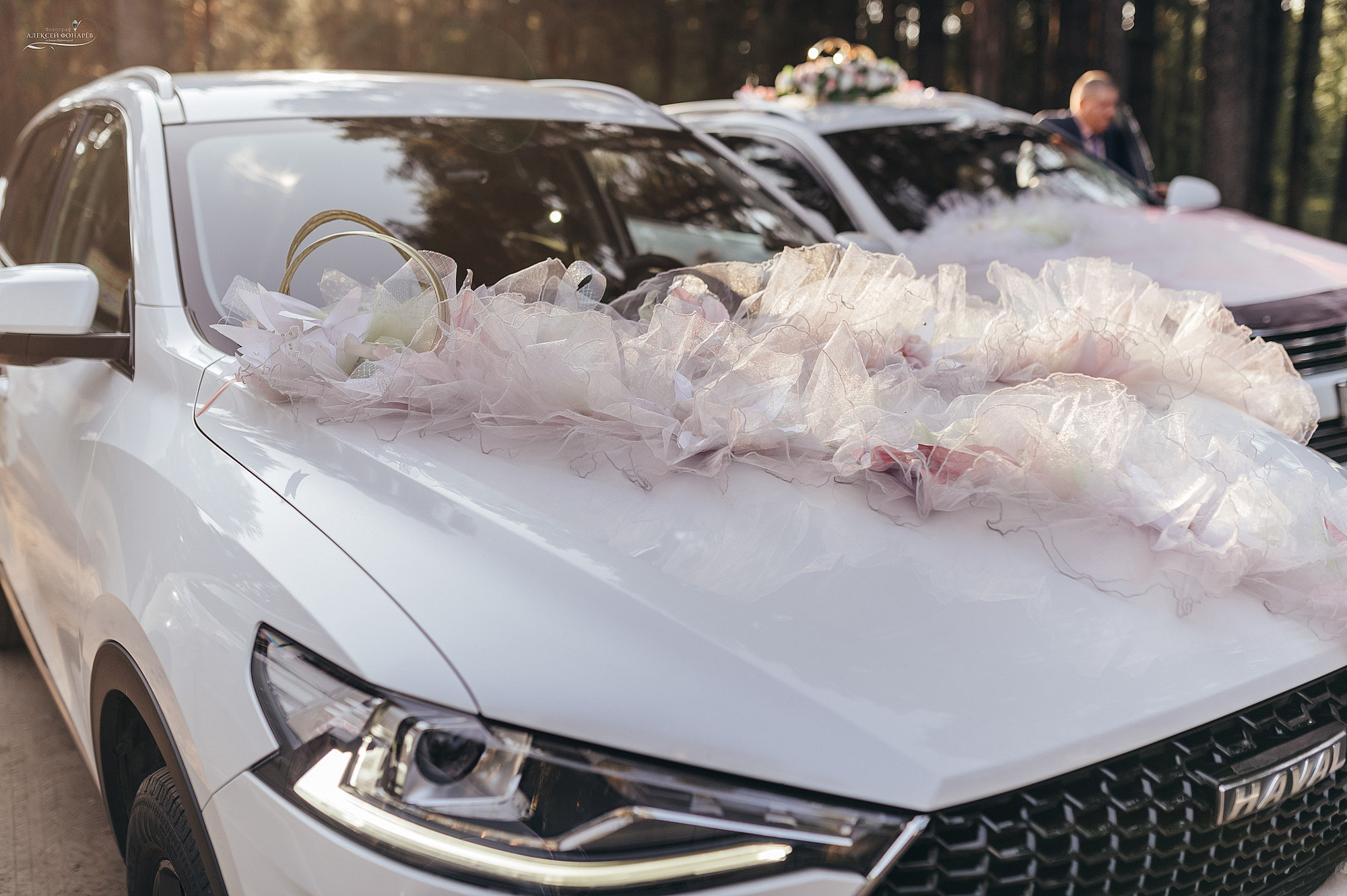 Свадебный фотограф в Дубне. Свадебный фотограф в Дубне Алексей Фонарёв