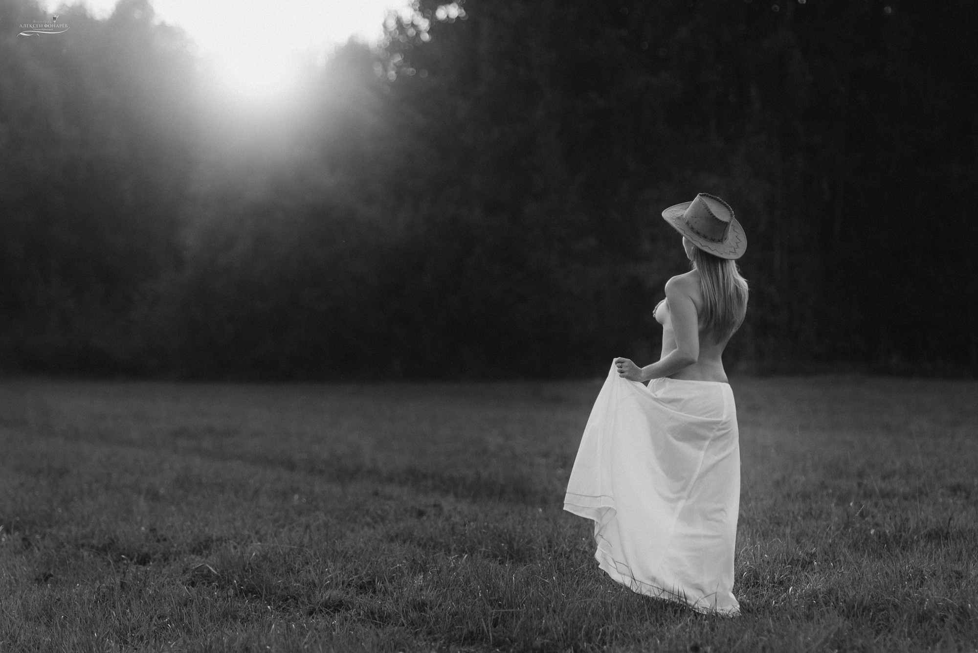 девушка топлес, девушка в поле, на закате, красивое фото девушки