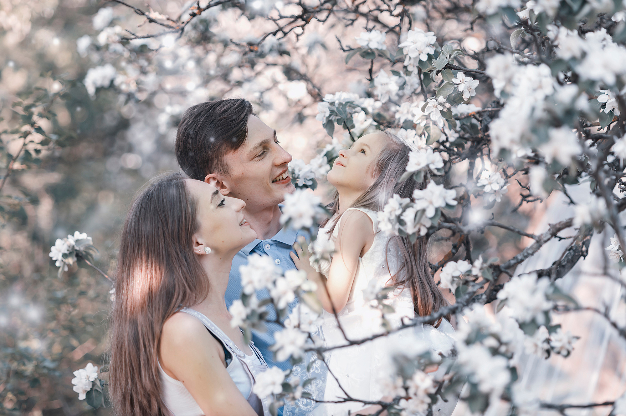 весенняя фотосессия семейная в цветении яблонь в дубне и  кимрах