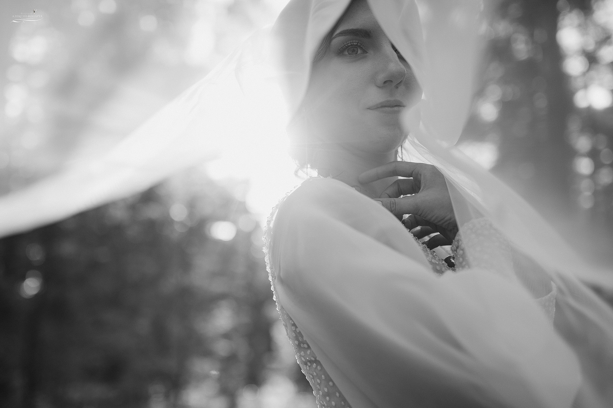 Свадебный фотограф в Дубне. Свадебный фотограф в Дубне Алексей Фонарёв