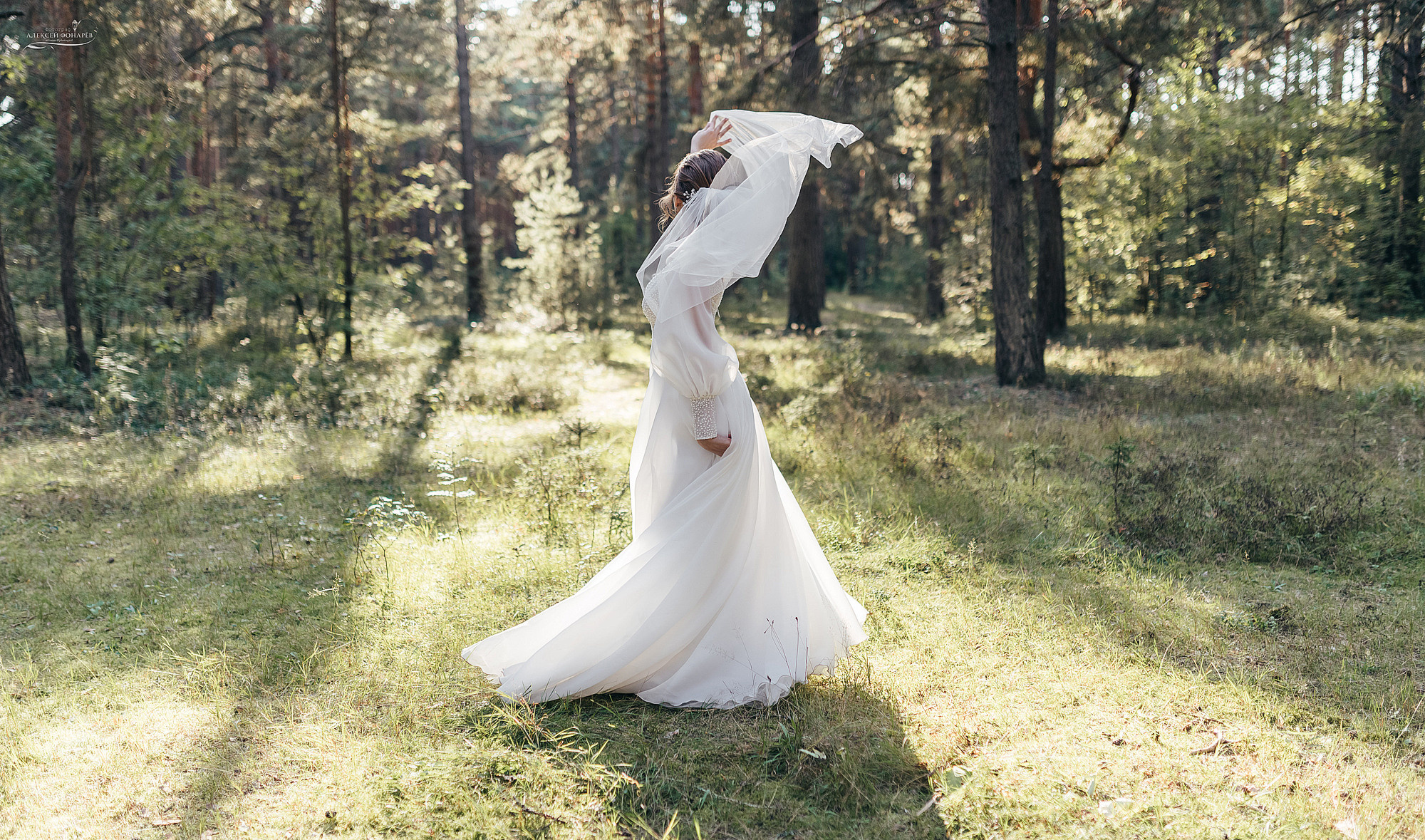 Свадебный фотограф в Дубне. Свадебный фотограф в Дубне Алексей Фонарёв