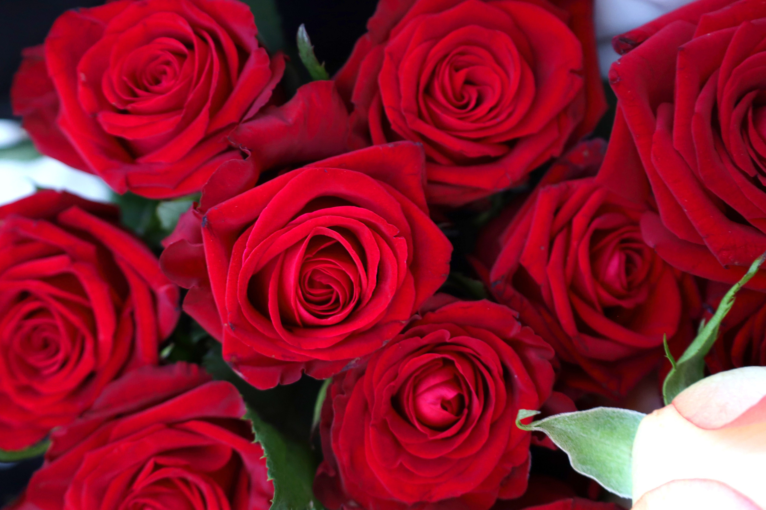 7 Б. Фотограф Саратов | Елизавета Белова