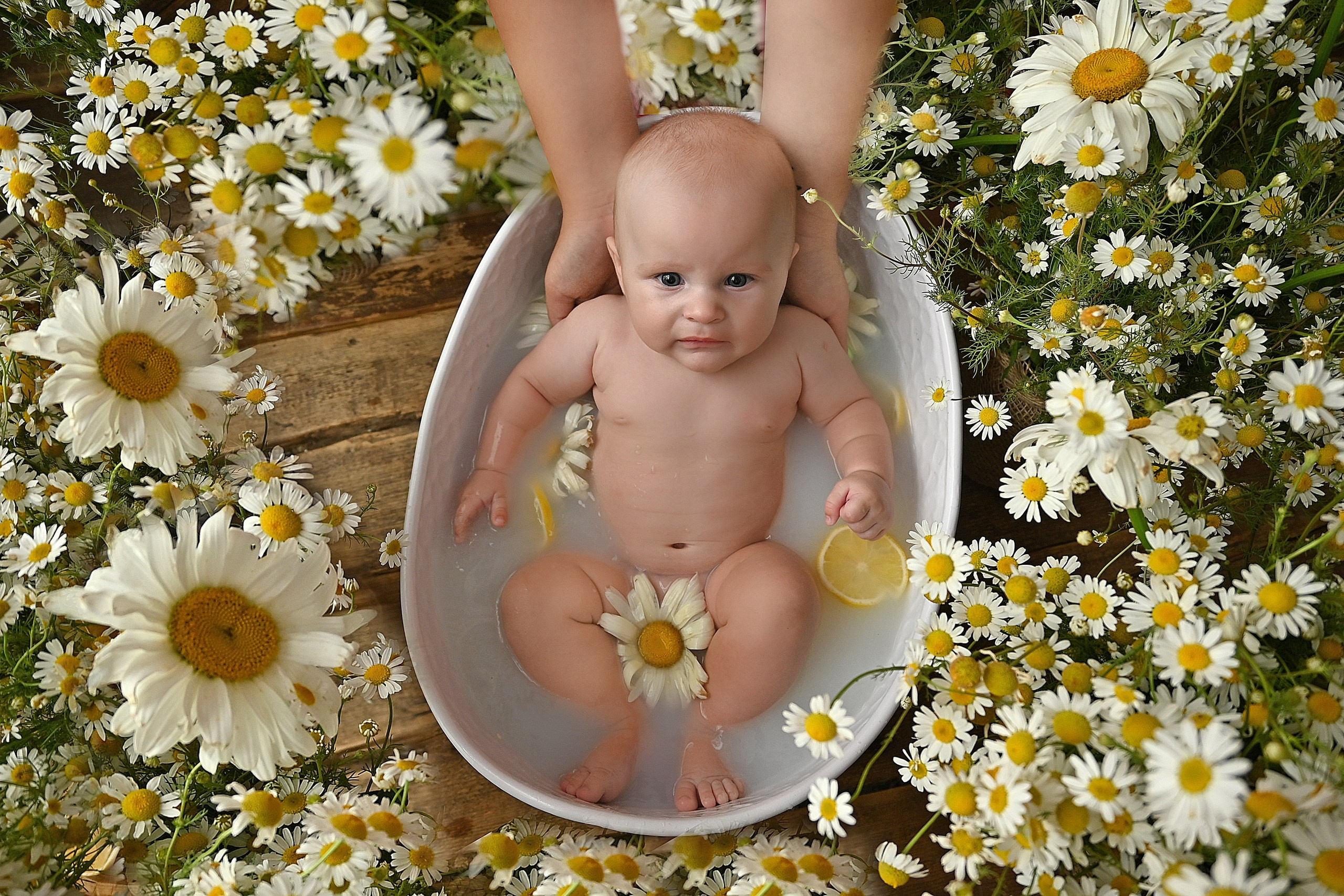 Ромашки&лимоны. Детская фотостудия «Ягоза»