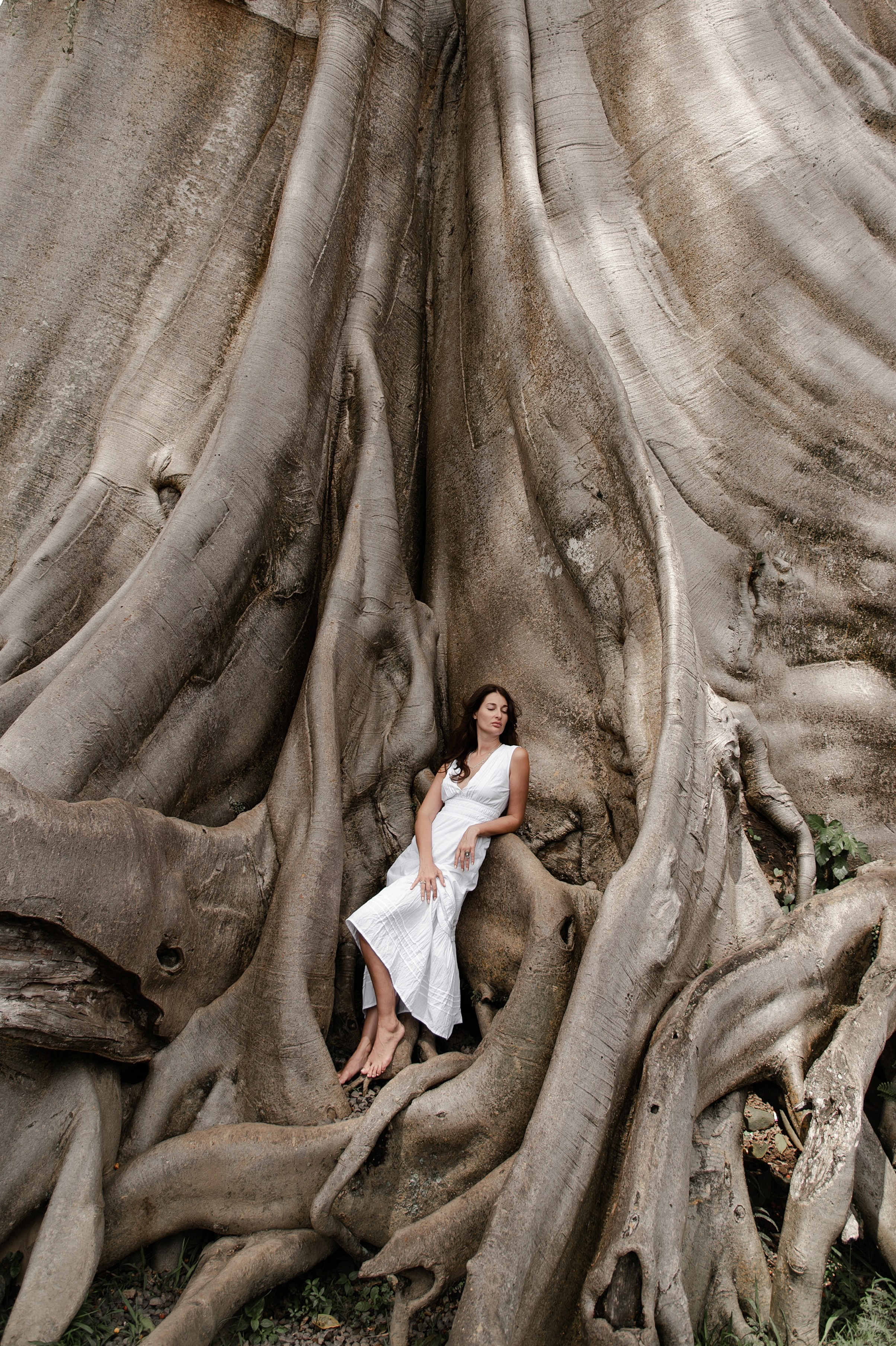 Bayan Tree. Свадебный фотограф в Ростове Максимов Максим