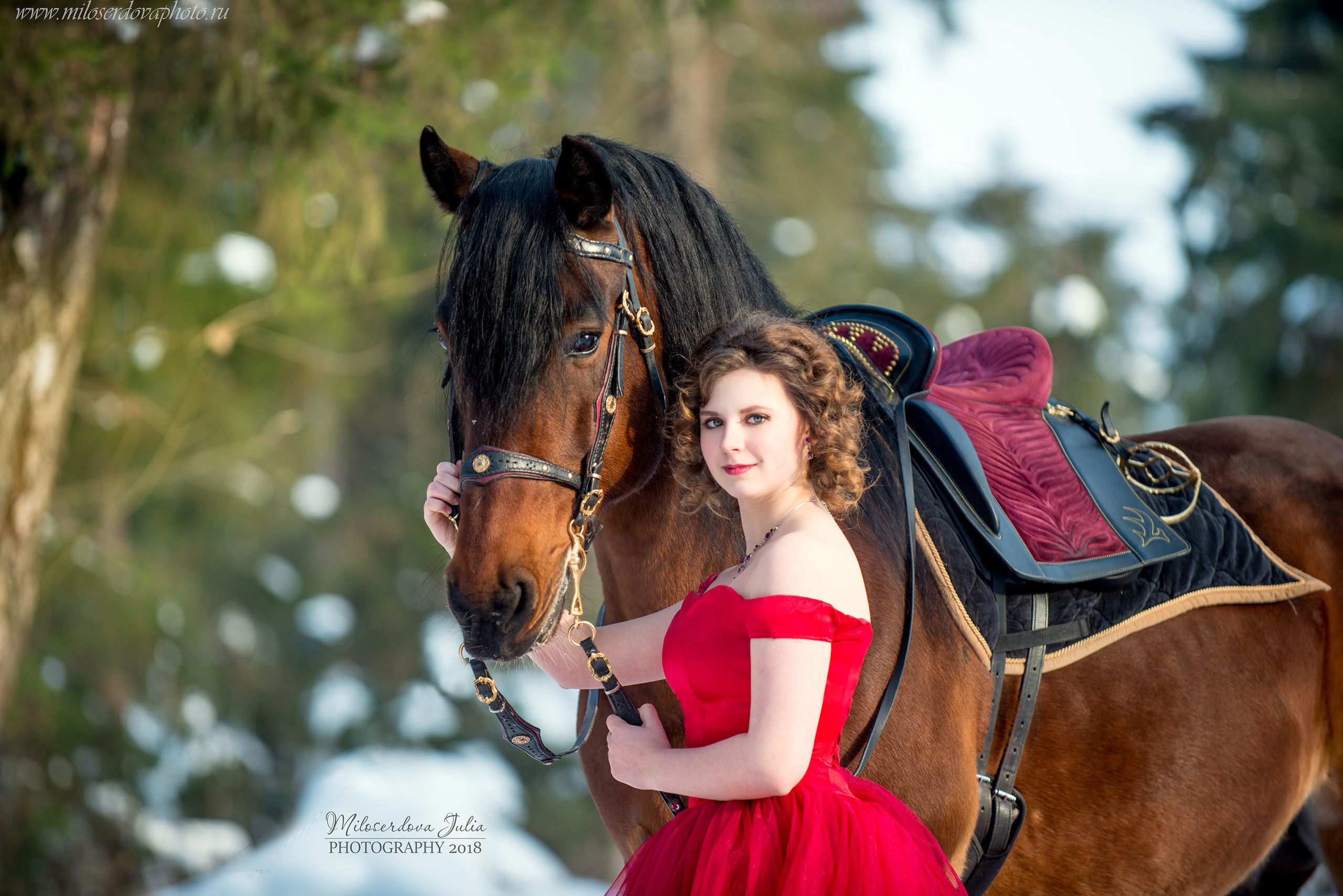 Фотосессии с лошадьми. Фотограф Юлия Милосердова