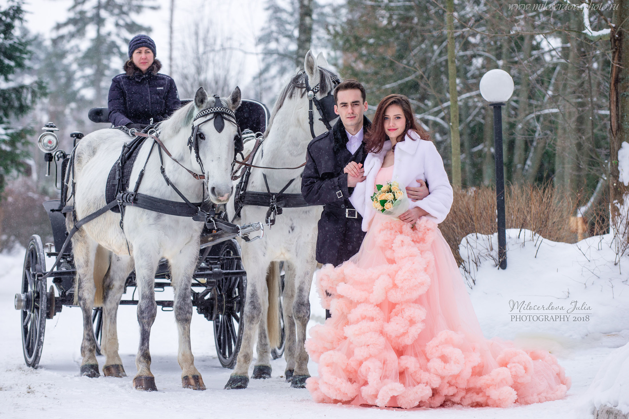 Фотосессии с лошадьми. Фотограф Юлия Милосердова