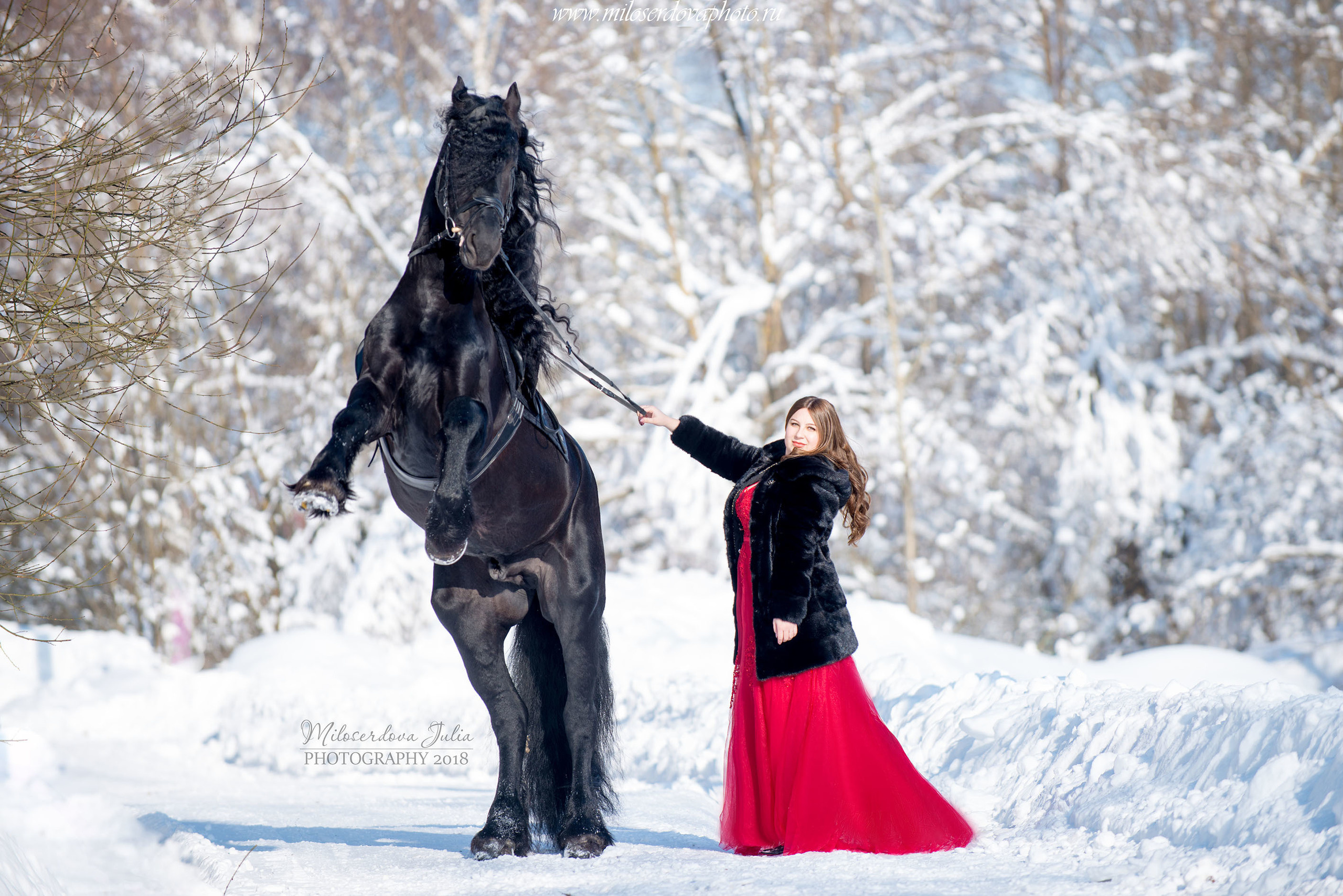 Фотосессии с лошадьми. Фотограф Юлия Милосердова