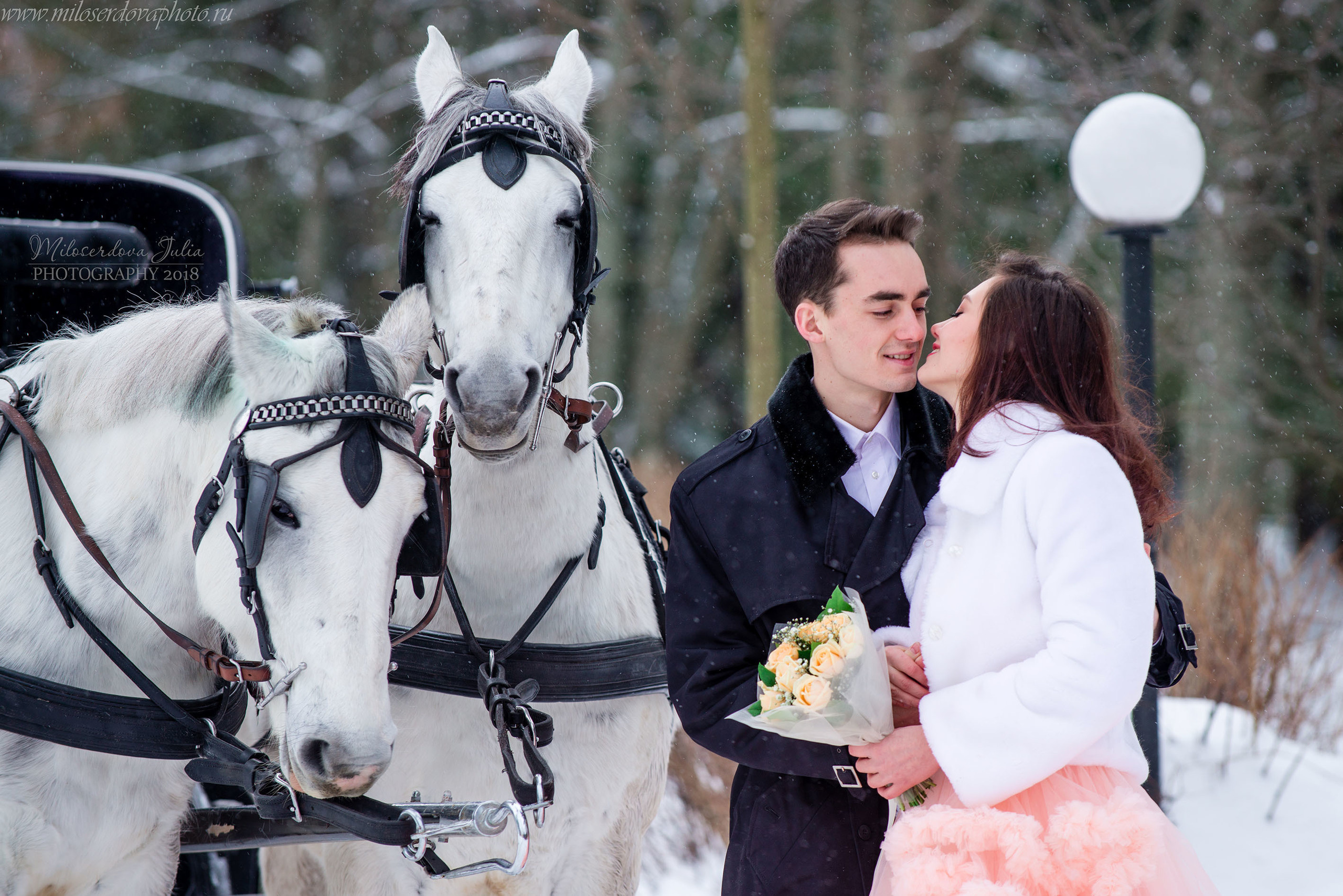 Фотосессии с лошадьми. Фотограф Юлия Милосердова
