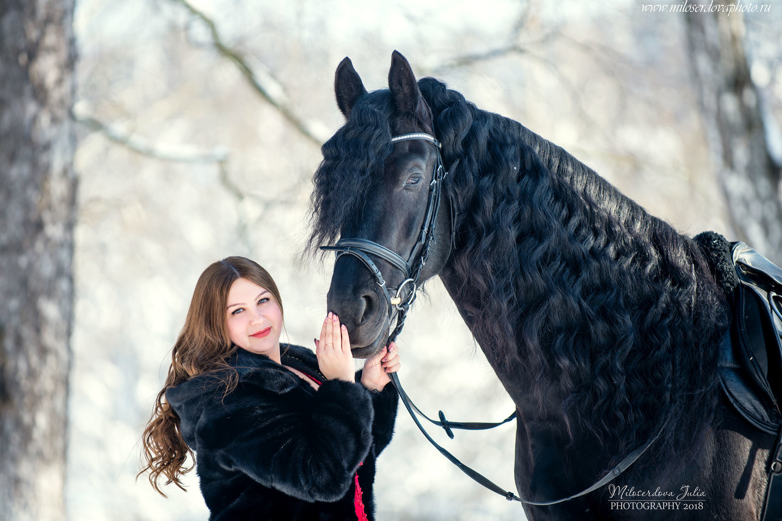 Фотосессии с лошадьми. Фотограф Юлия Милосердова
