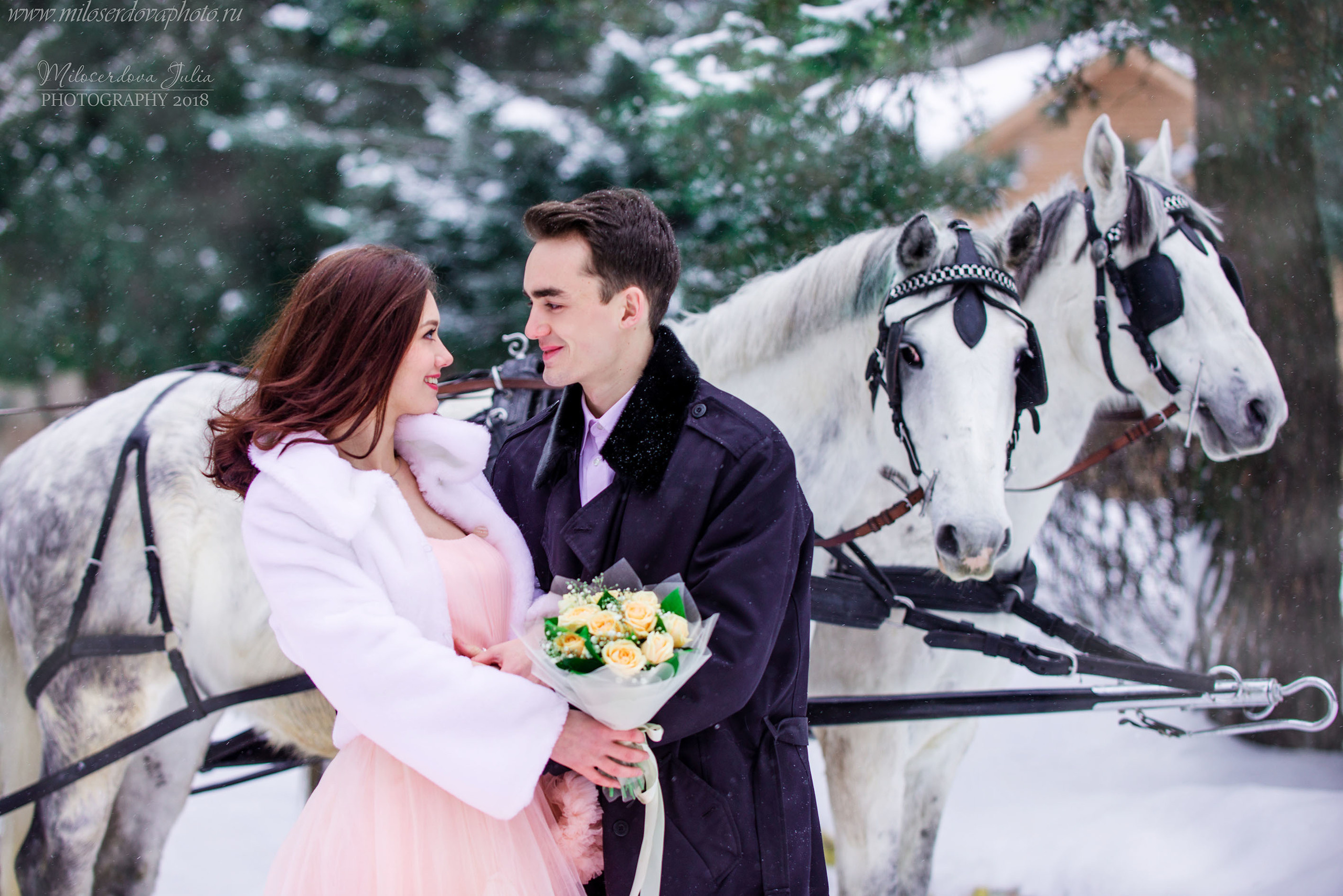 Фотосессии с лошадьми. Фотограф Юлия Милосердова