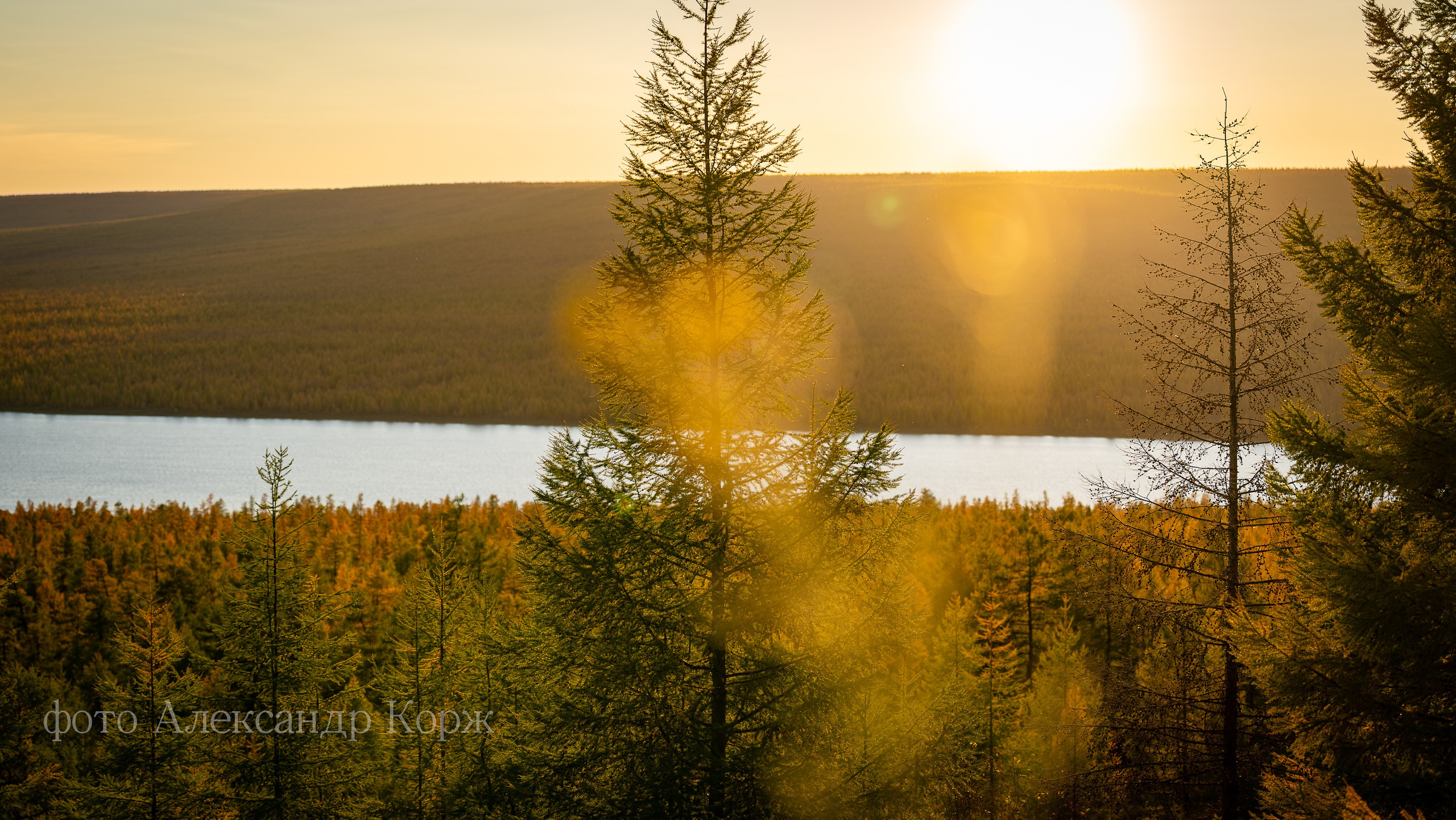 Золотая осень 2025. Айхал. Удачный. Мирный Якутия. Фотографии и видеосъемка, Айхал, Удачный, Якутия. Фотографии Айхал