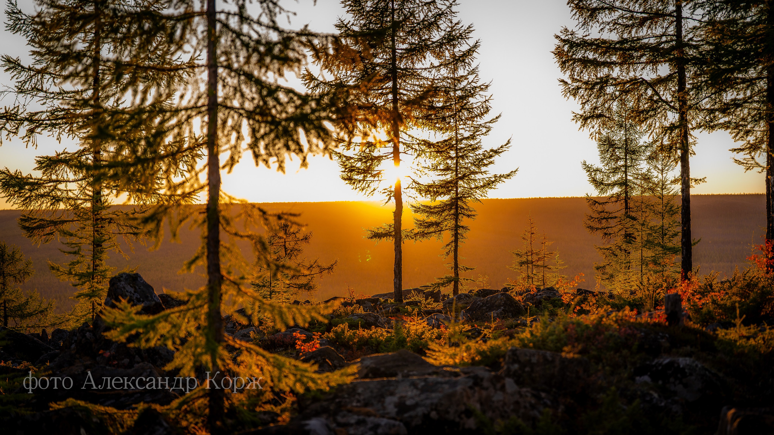 Золотая осень 2025. Айхал. Удачный. Мирный Якутия. Фотографии и видеосъемка, Айхал, Удачный, Якутия. Фотографии Айхал