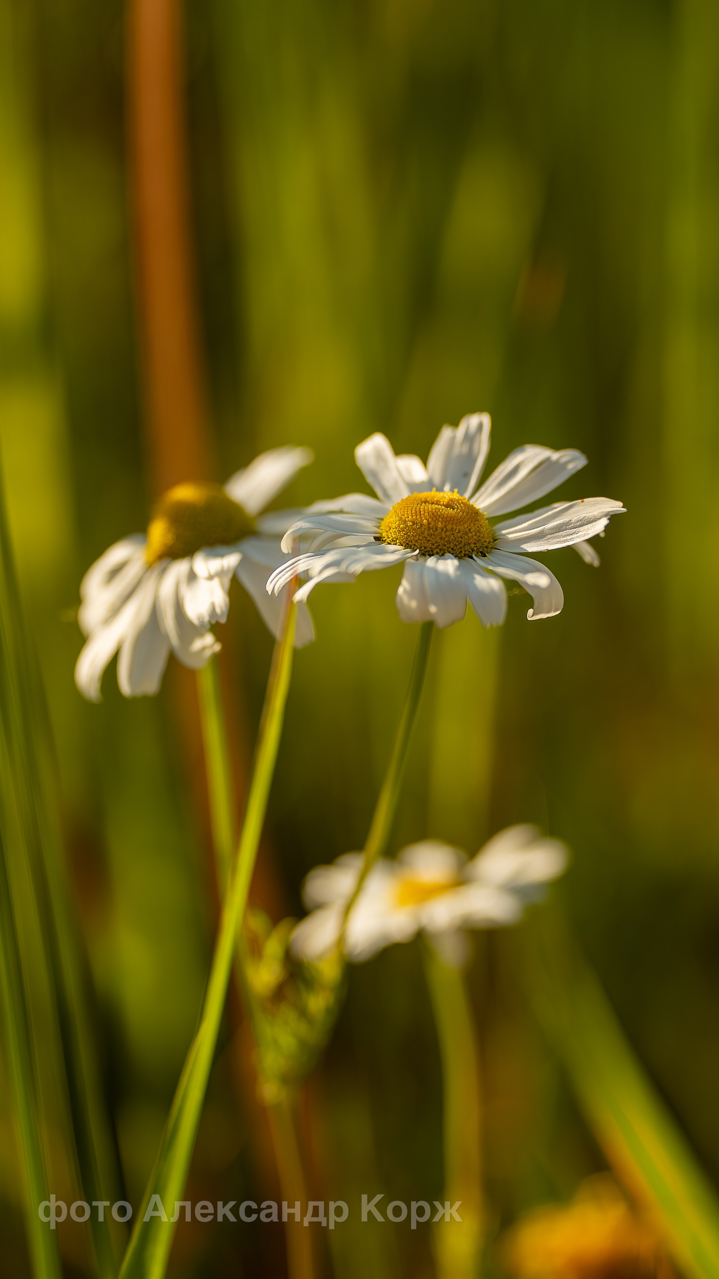 Фотографии Северного поселка Айхал. Фотографии и видеосъемка, Айхал, Удачный, Якутия. Фотографии Айхал