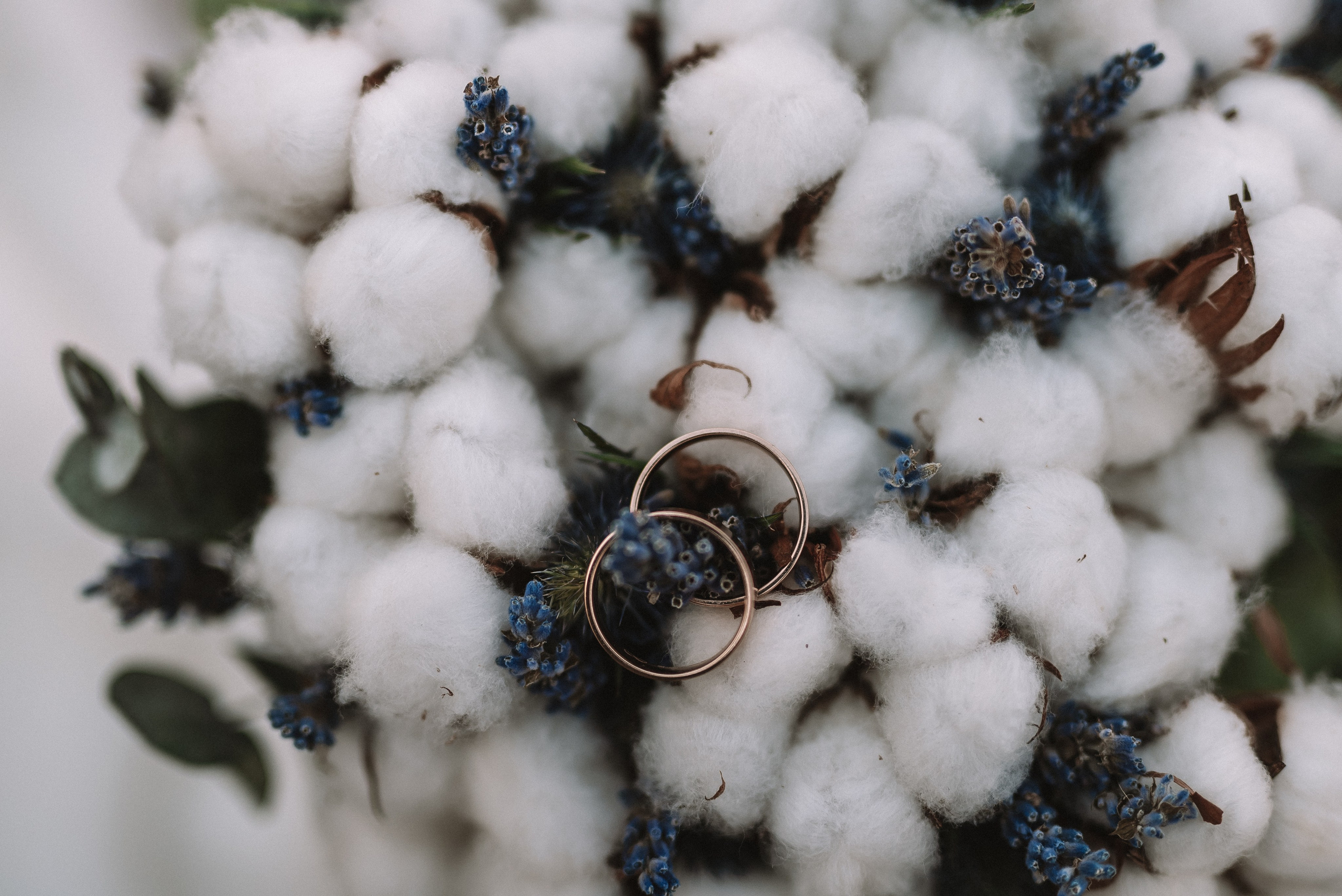 Екатерина + Александр. Свадебный и семейный фотограф в Волгограде Олеся Лисицкая