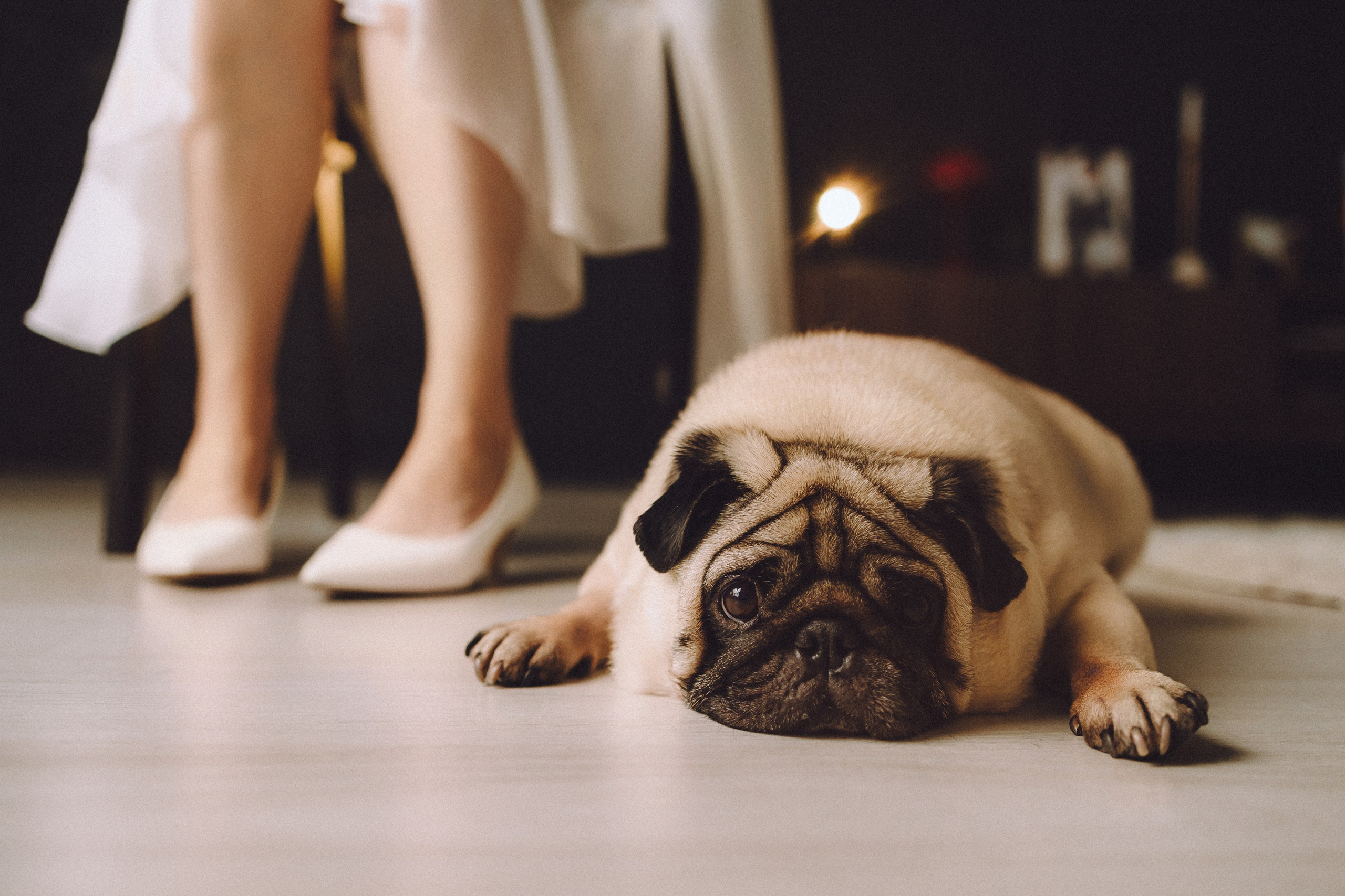 Денис, Василина, Гаврюша и Кнопка