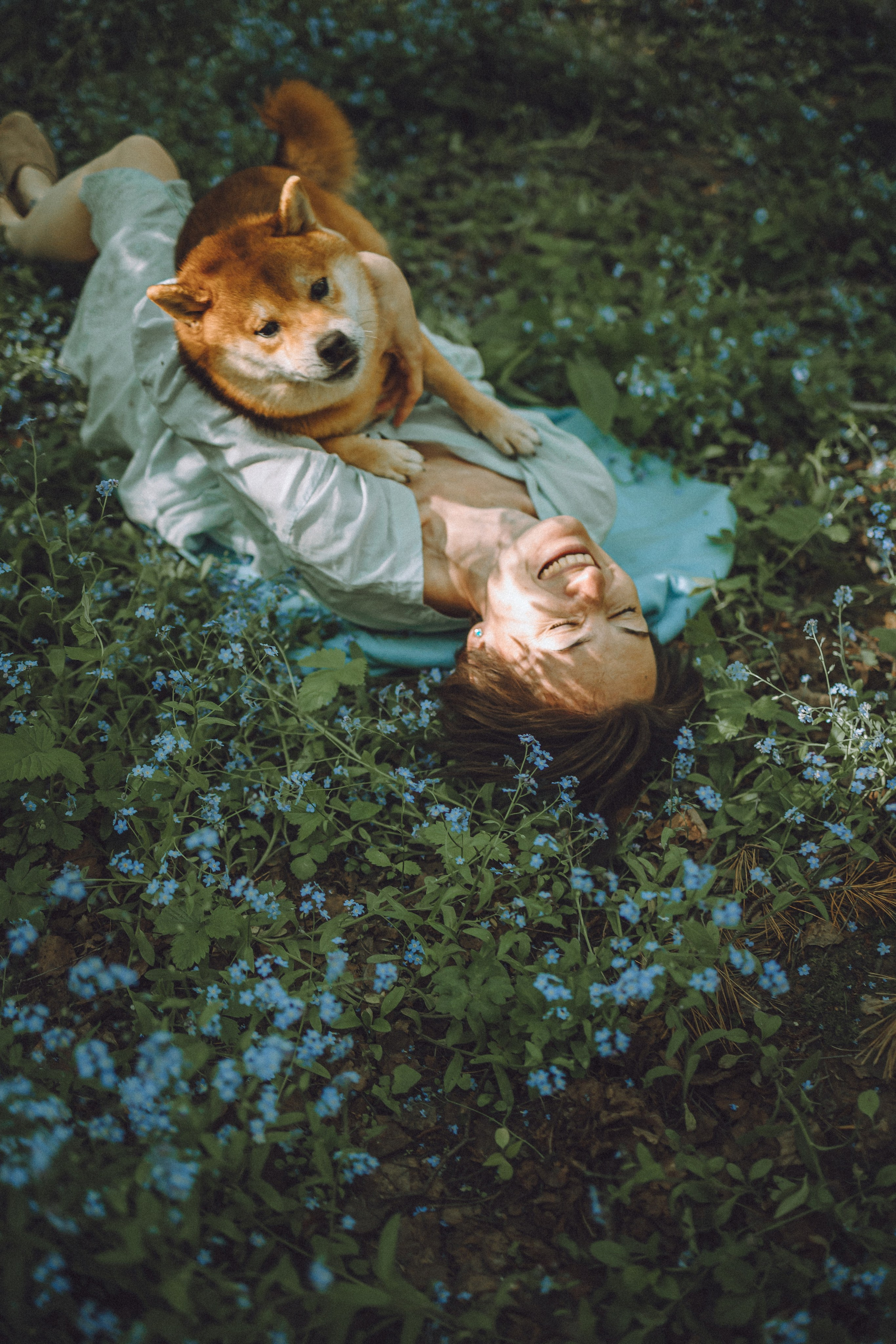 Шед, Цири, Чиби, Цера и их семья