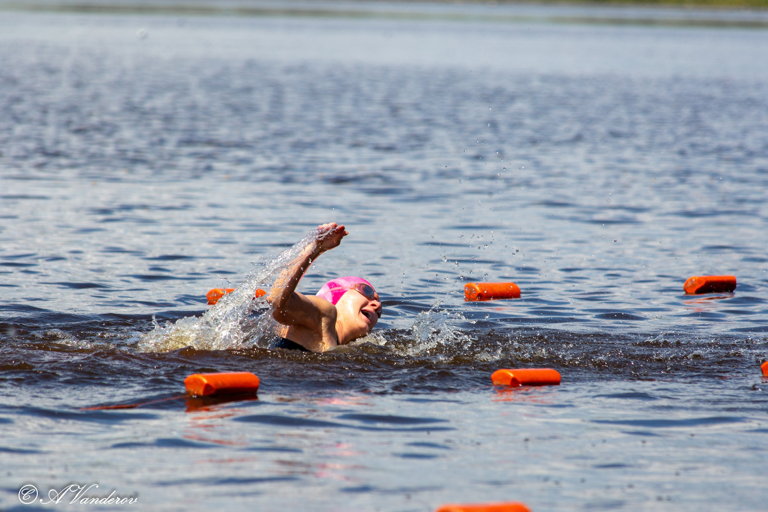 Заплыв 02.06.2024. Фотограф Омск | Александр Вандеров