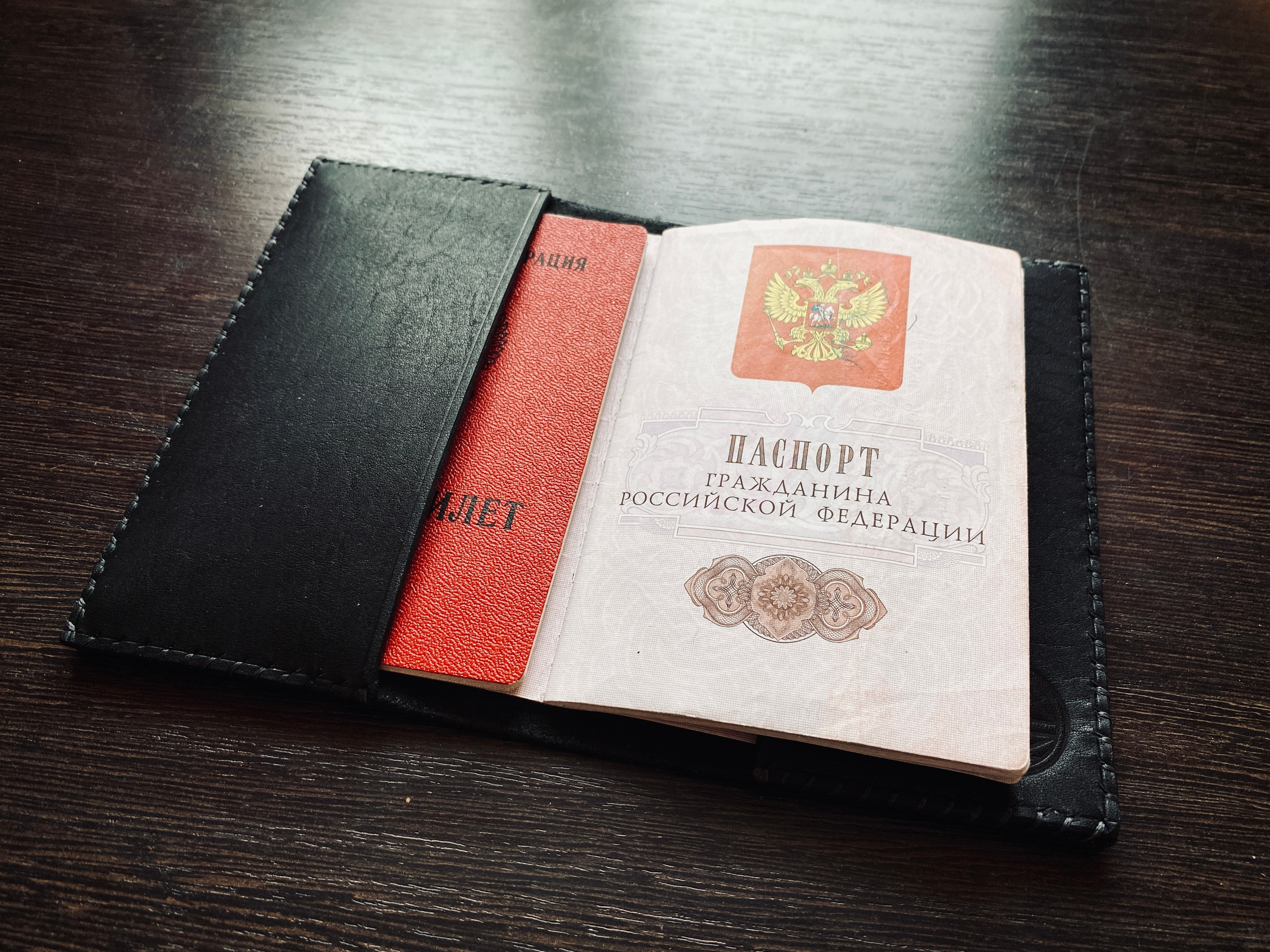 Обложка для паспорта. KIMESTHETICA