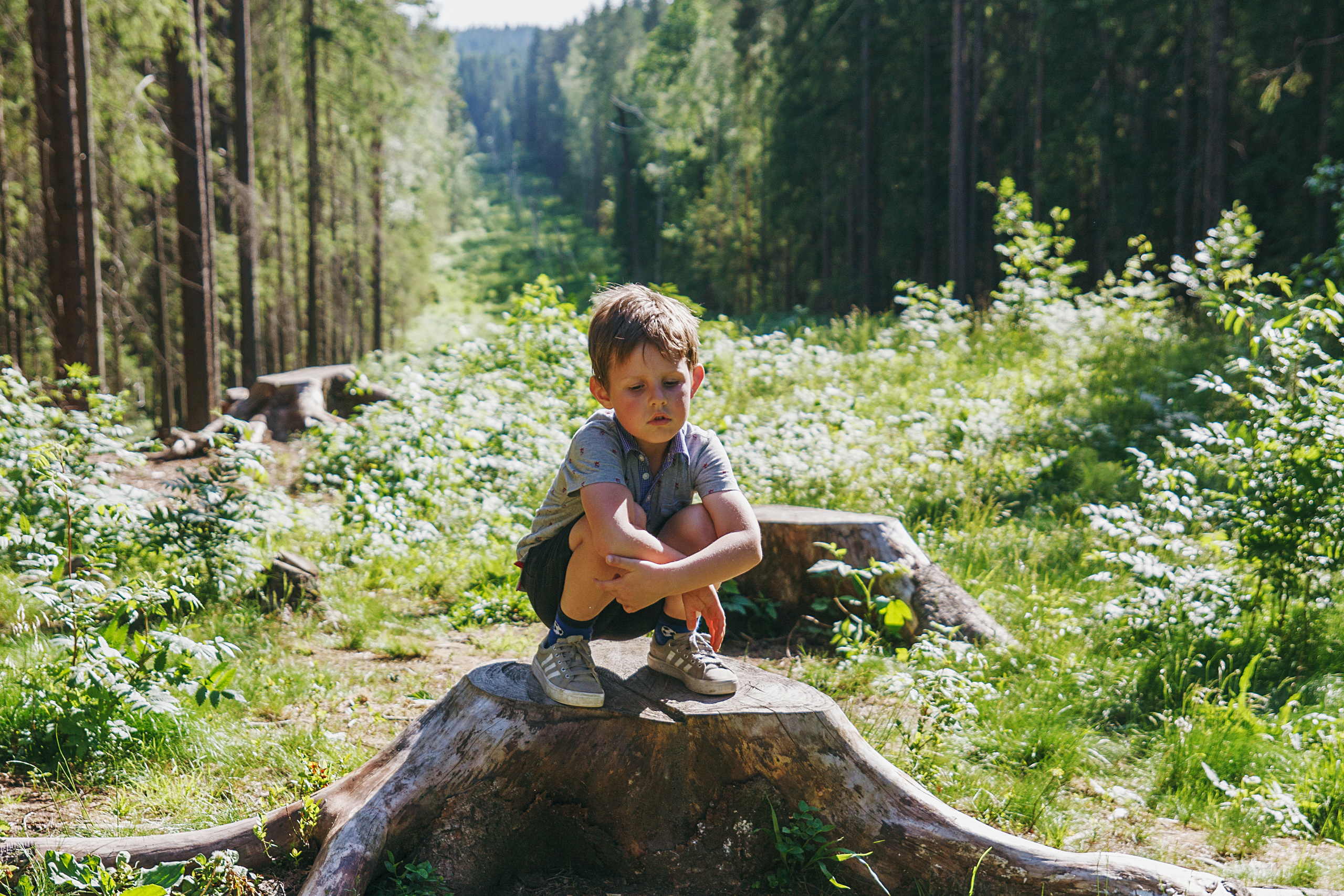ДЕТИ И СЕМЬИ. Фотограф Анна Сауэр