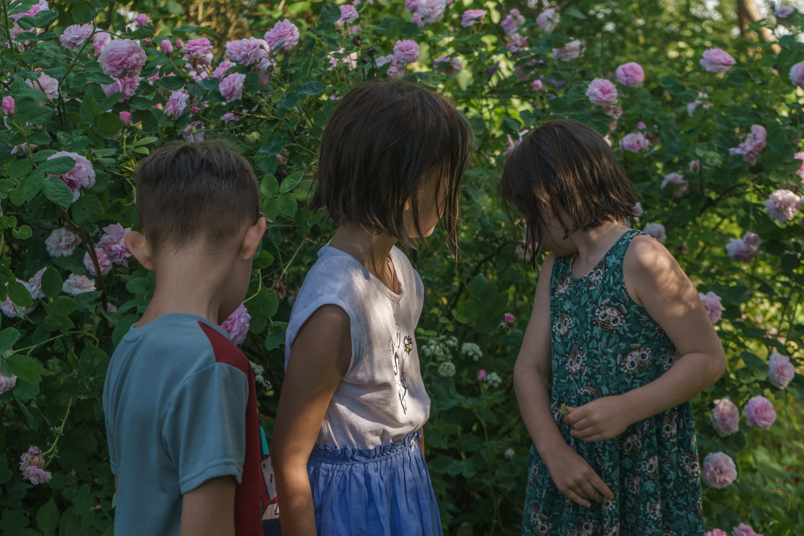 ДЕТИ И СЕМЬИ. Фотограф Анна Сауэр