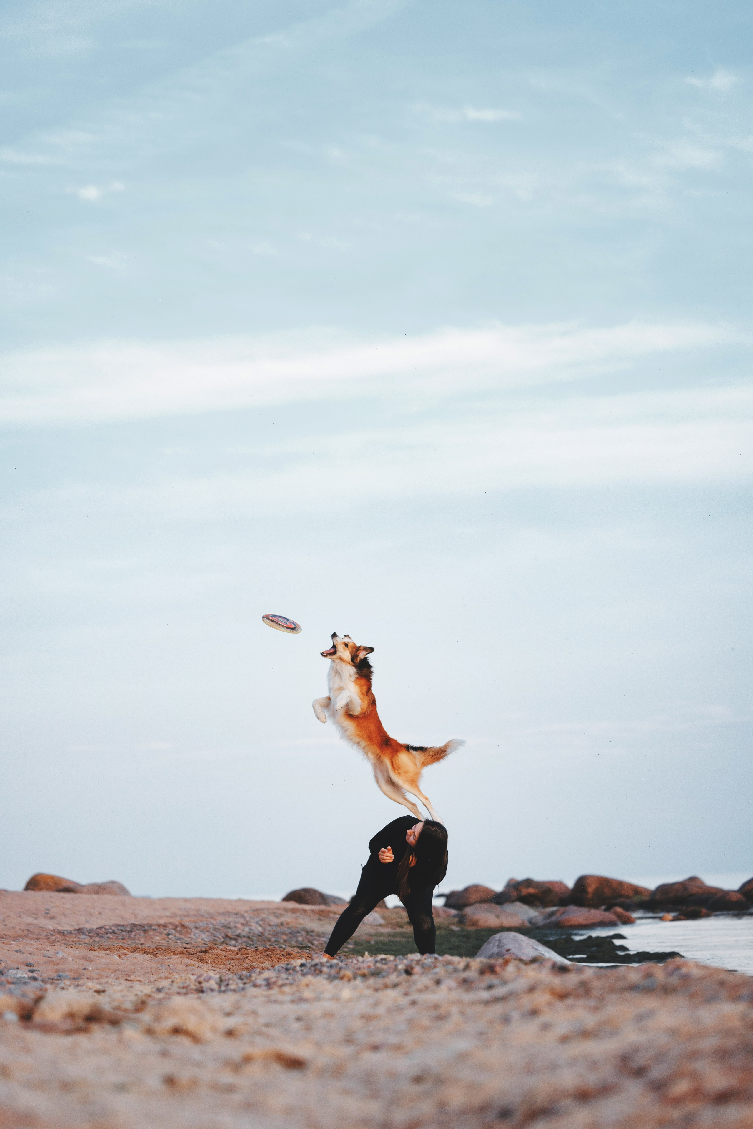 Рита, Маша и много собак. Фотограф анималист Осипчикова Мария