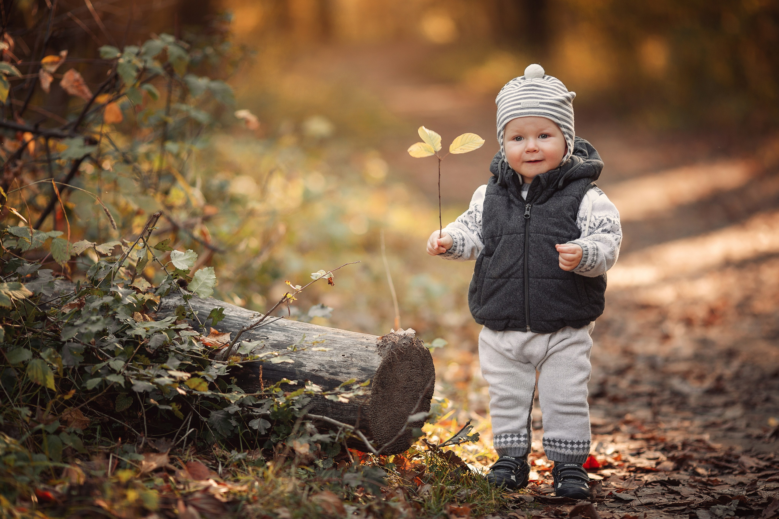 Однажды осенью. Семейный и детский фотограф |Брянск| Анастасия Перепелкина
