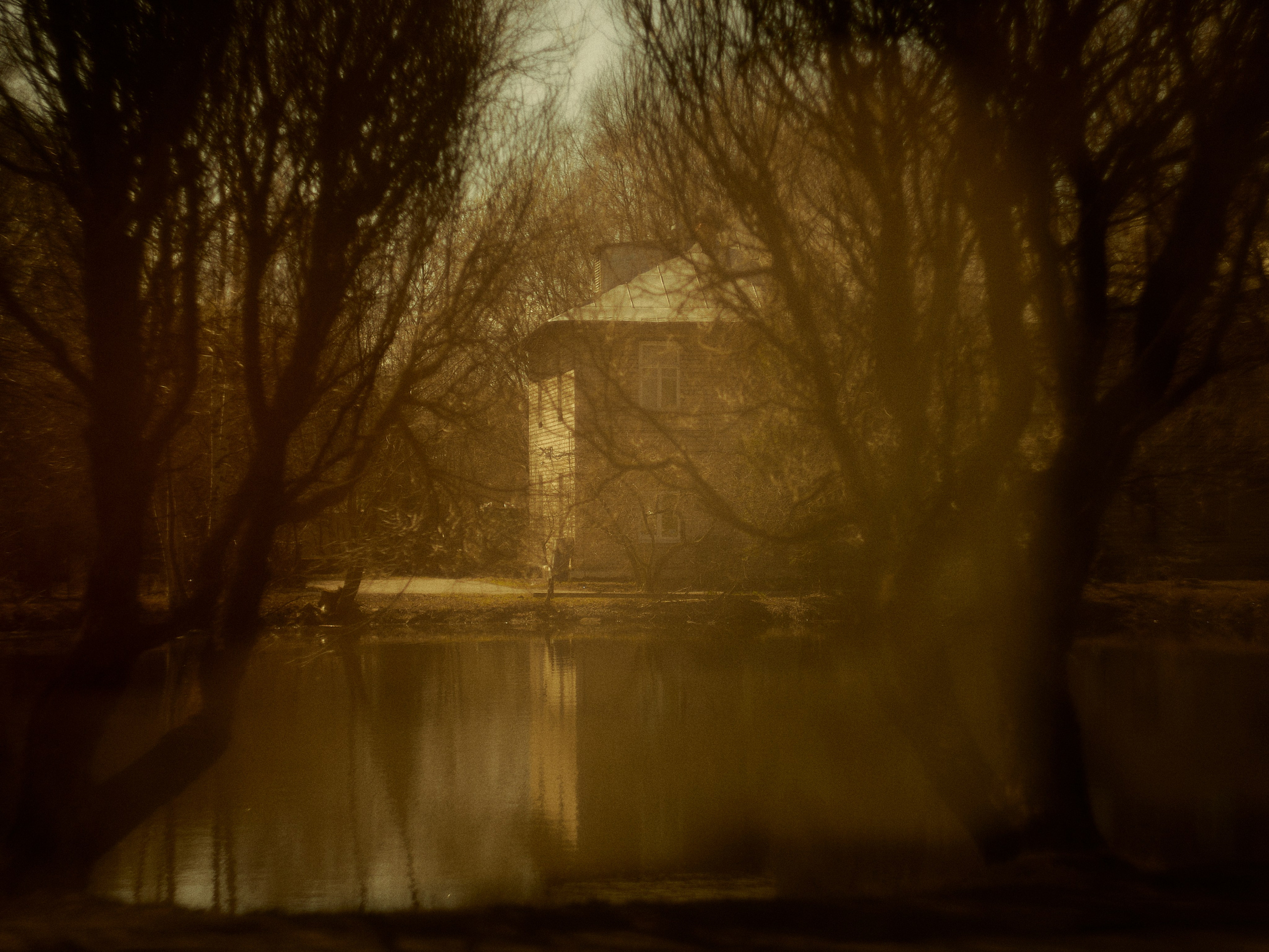 Street. Портретный фотограф в Москве