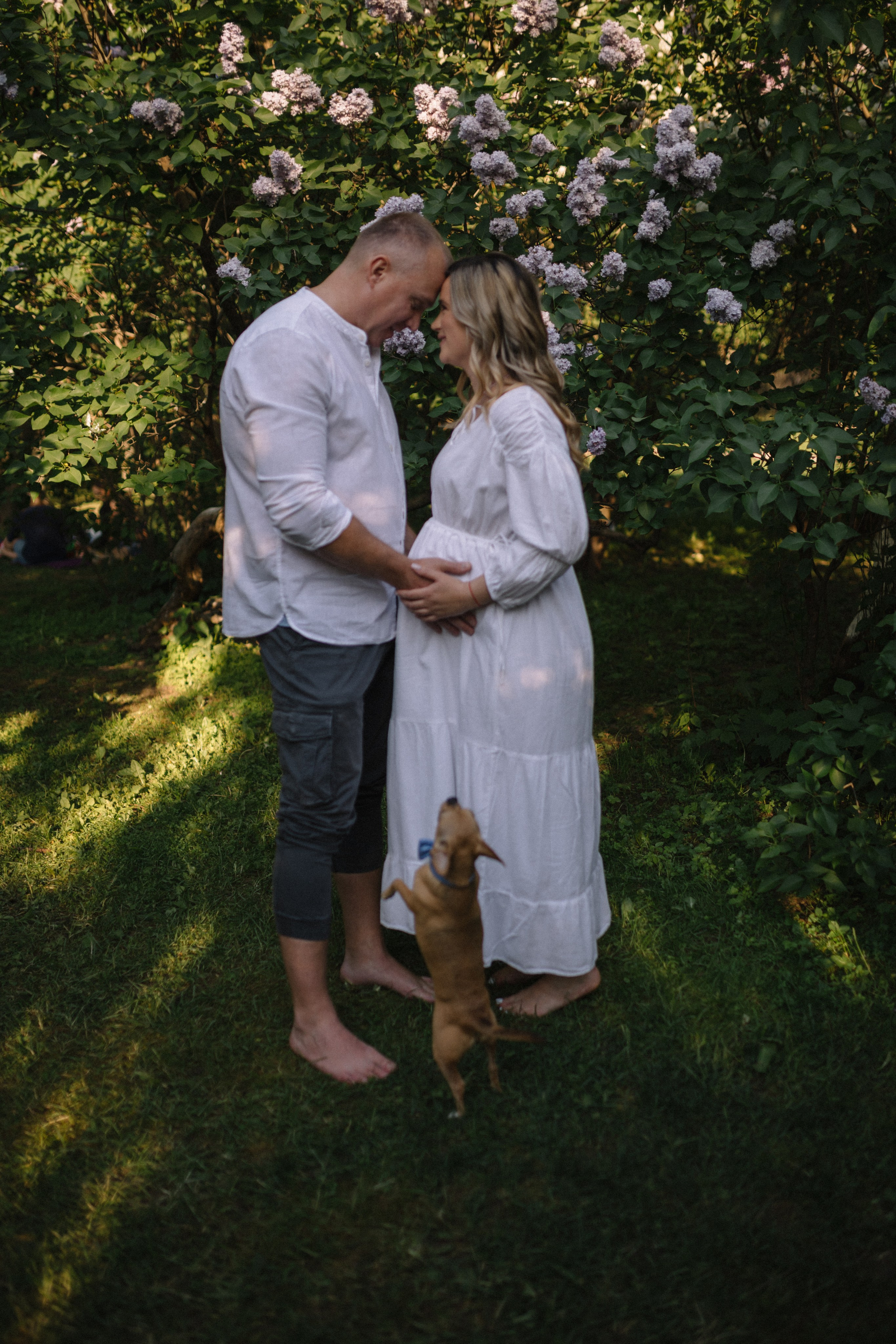Беременная фотосессия. Семейный фотограф в Москве и Люберцах Юлия Гуськова