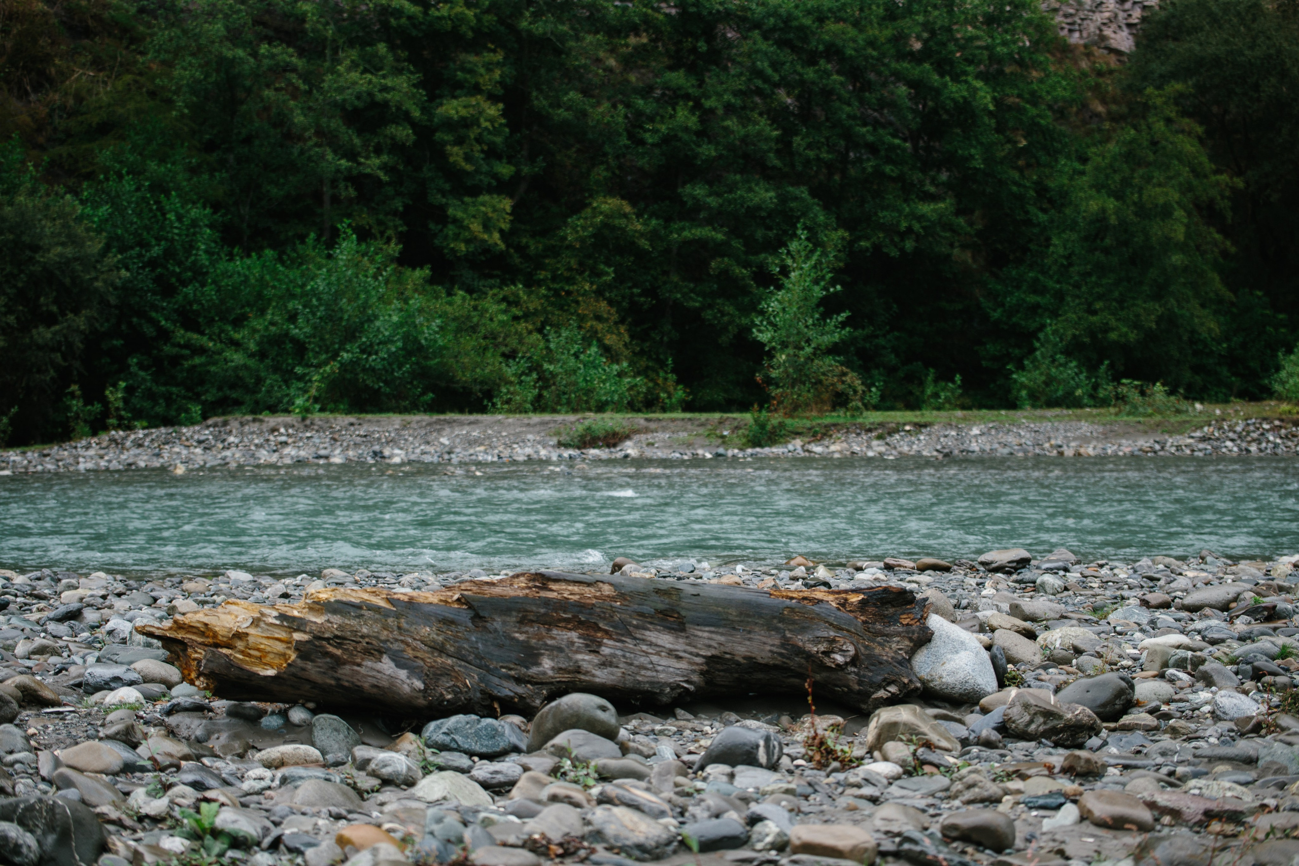Оштенский Кордон. Семейный фотограф в Белгороде