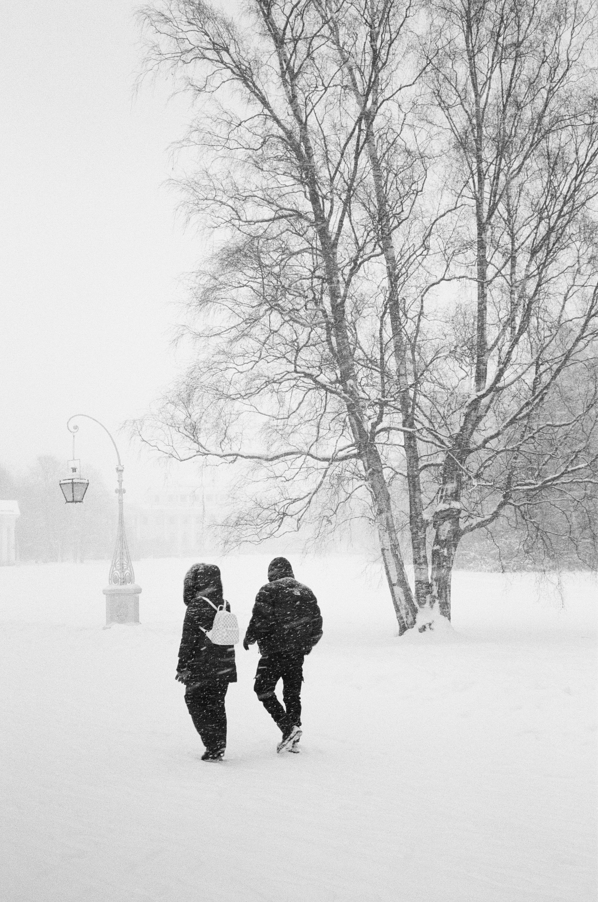 Photo. Оператор-постановщик рекламы и музыкальных клипов