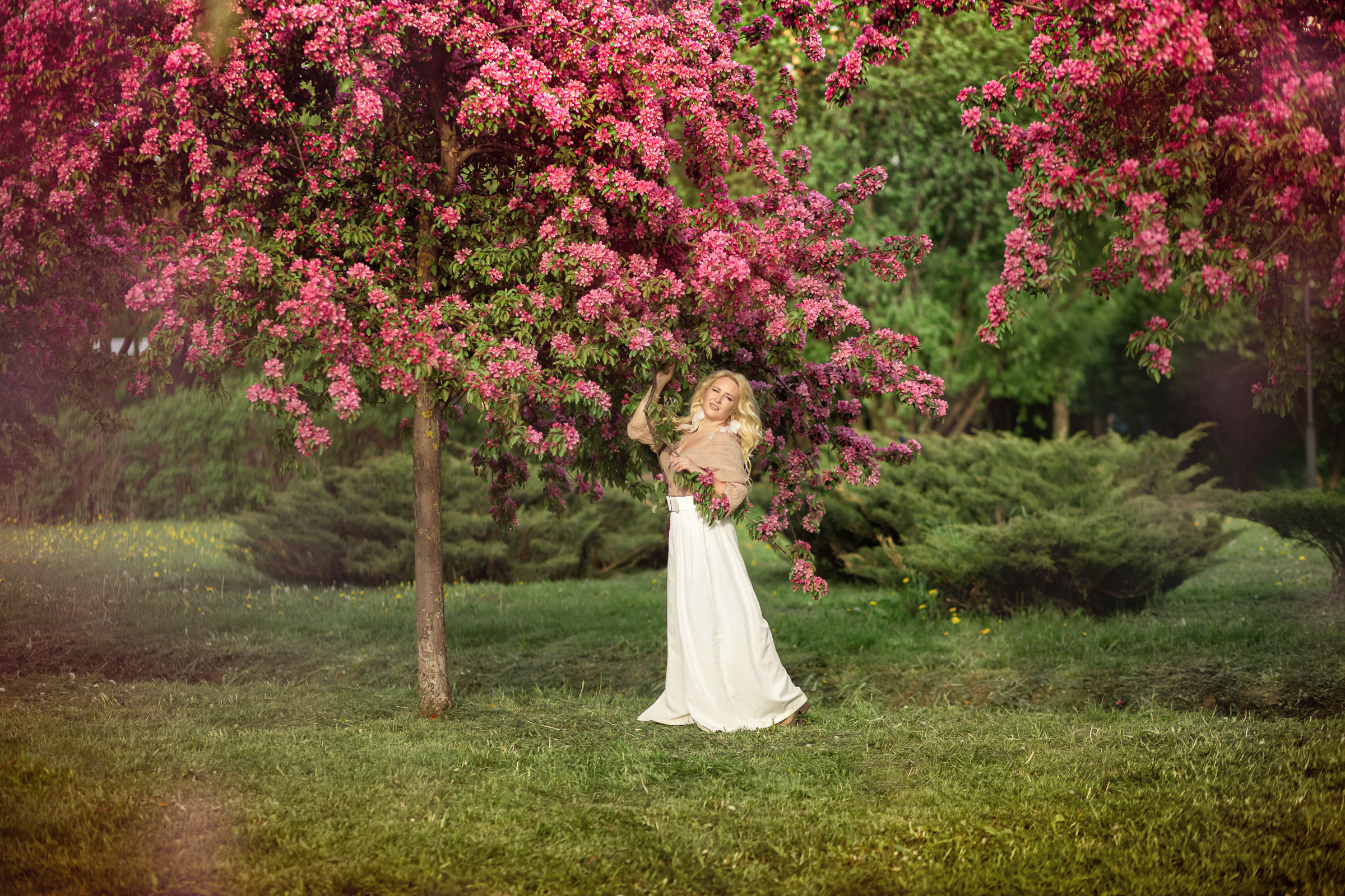 В розовых яблонях. Фотограф женский и мужской портрет Санкт-Петербург