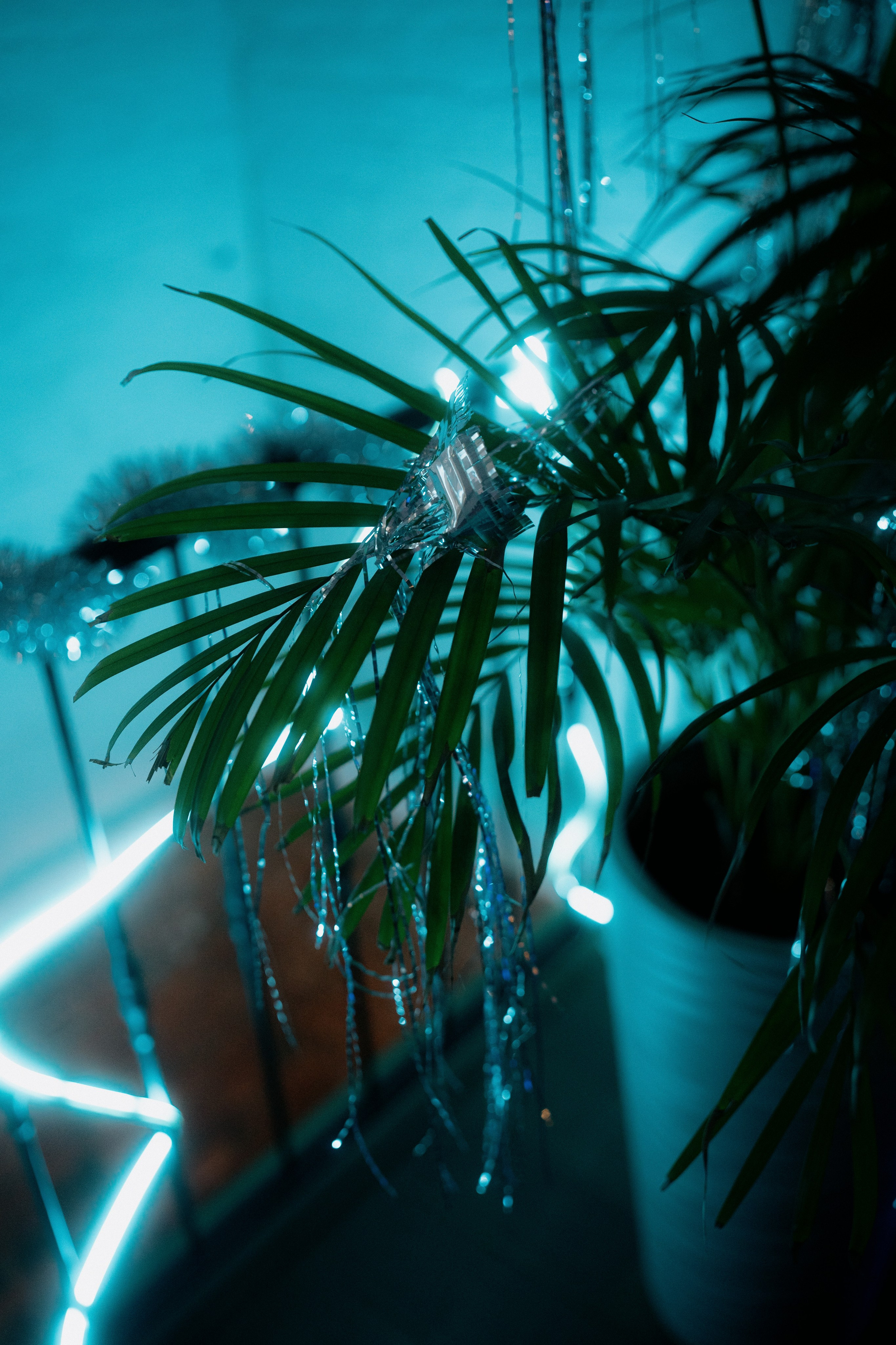 FROM PROVINCE | Морозилка. Фотограф Vika Rin