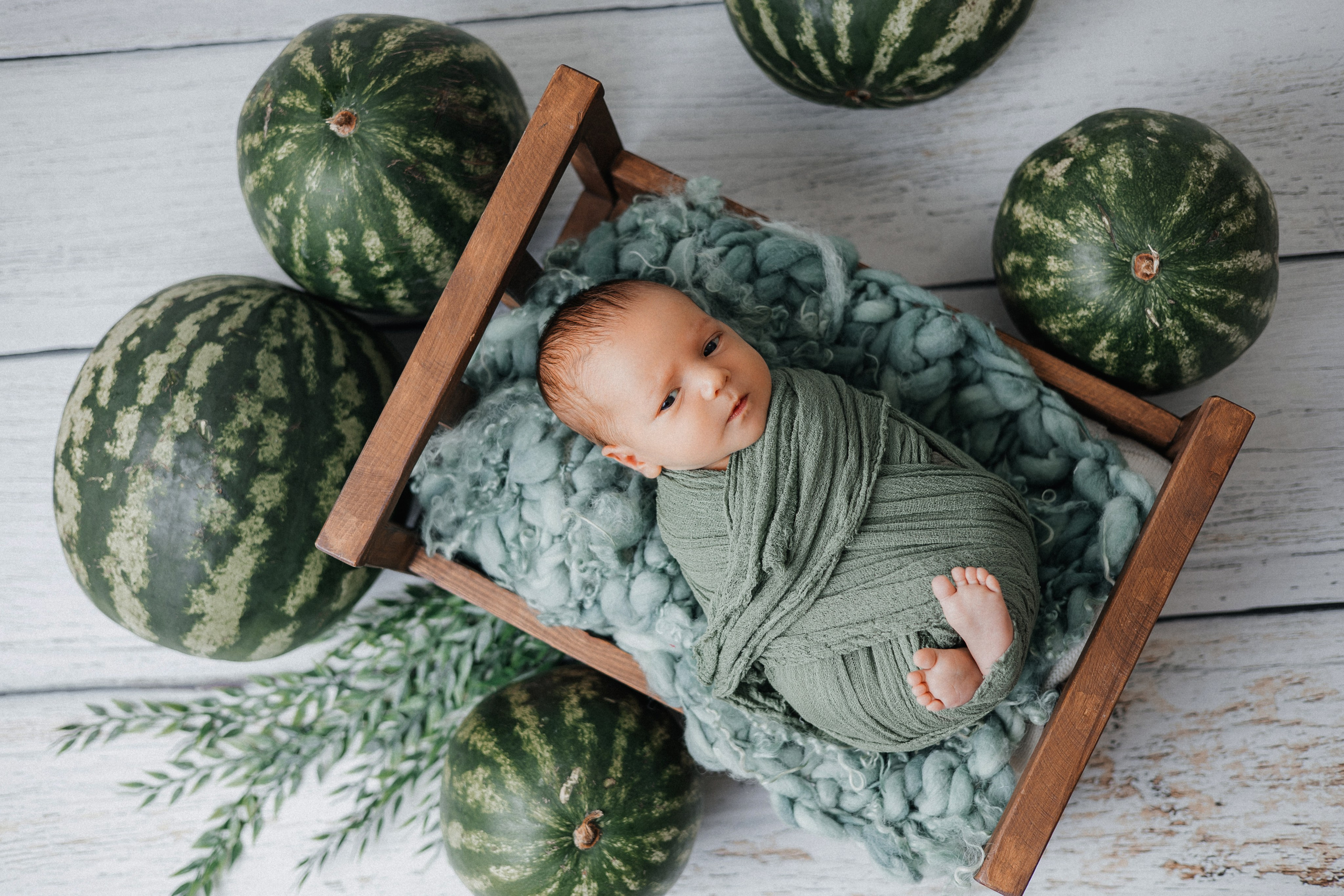 Тимофей, пакет «Комфорт», 10 дней. Фотограф новорождённых Екатерина Боброва. Ульяновск