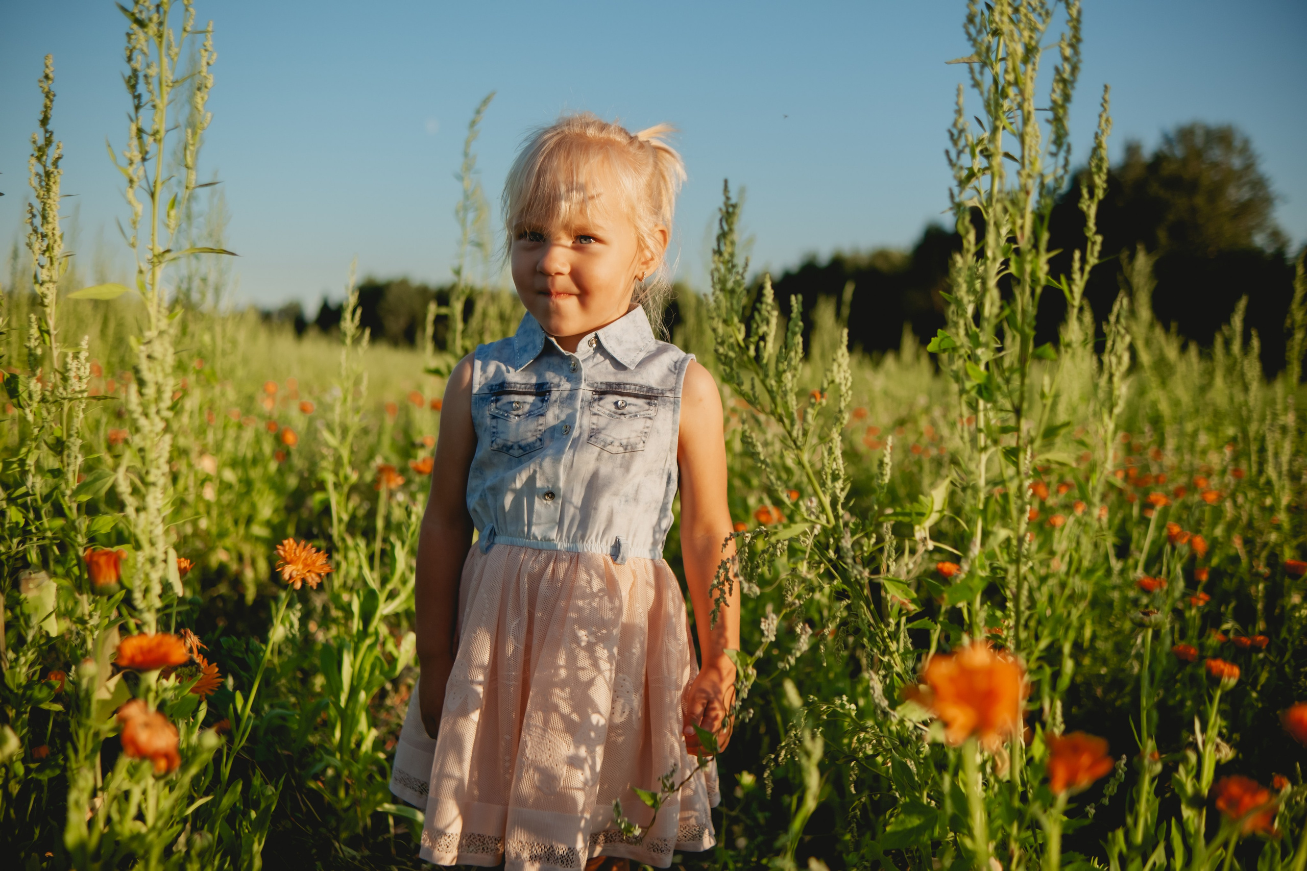 Семейная съемка в лованде. Nattie.ph