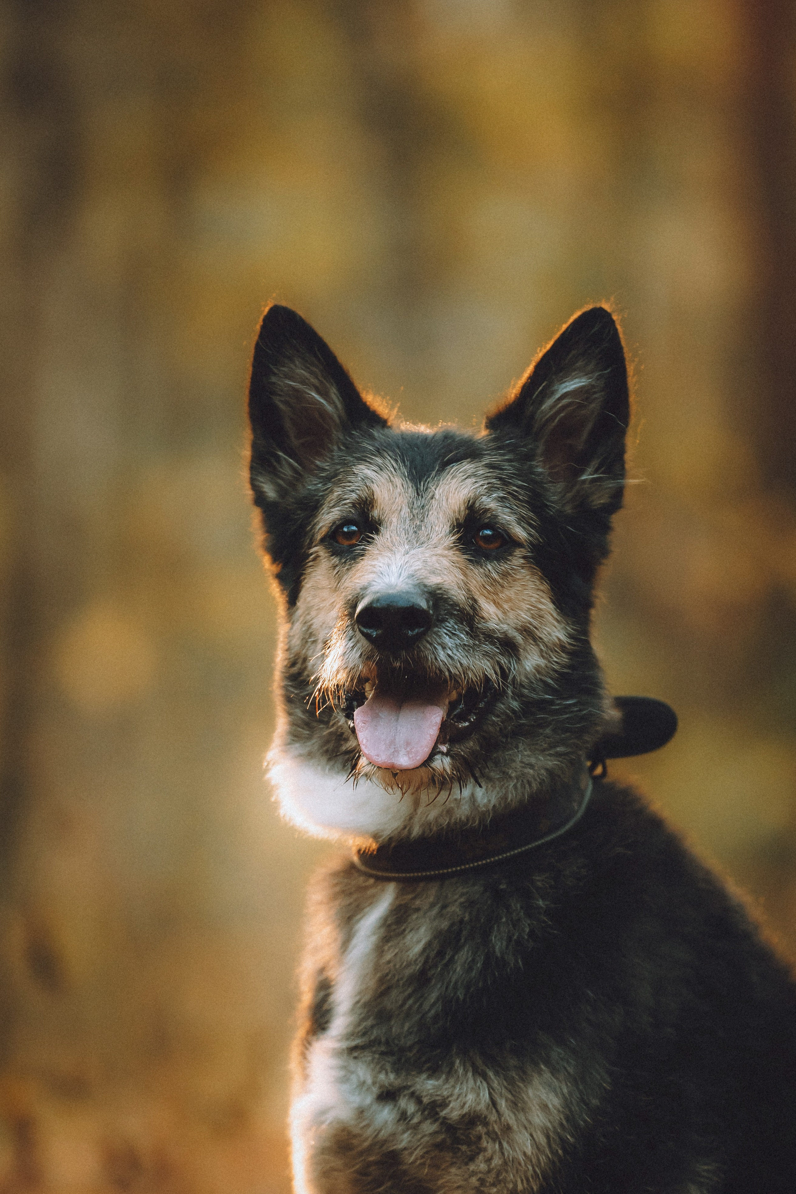 Рик, Джек и их семья