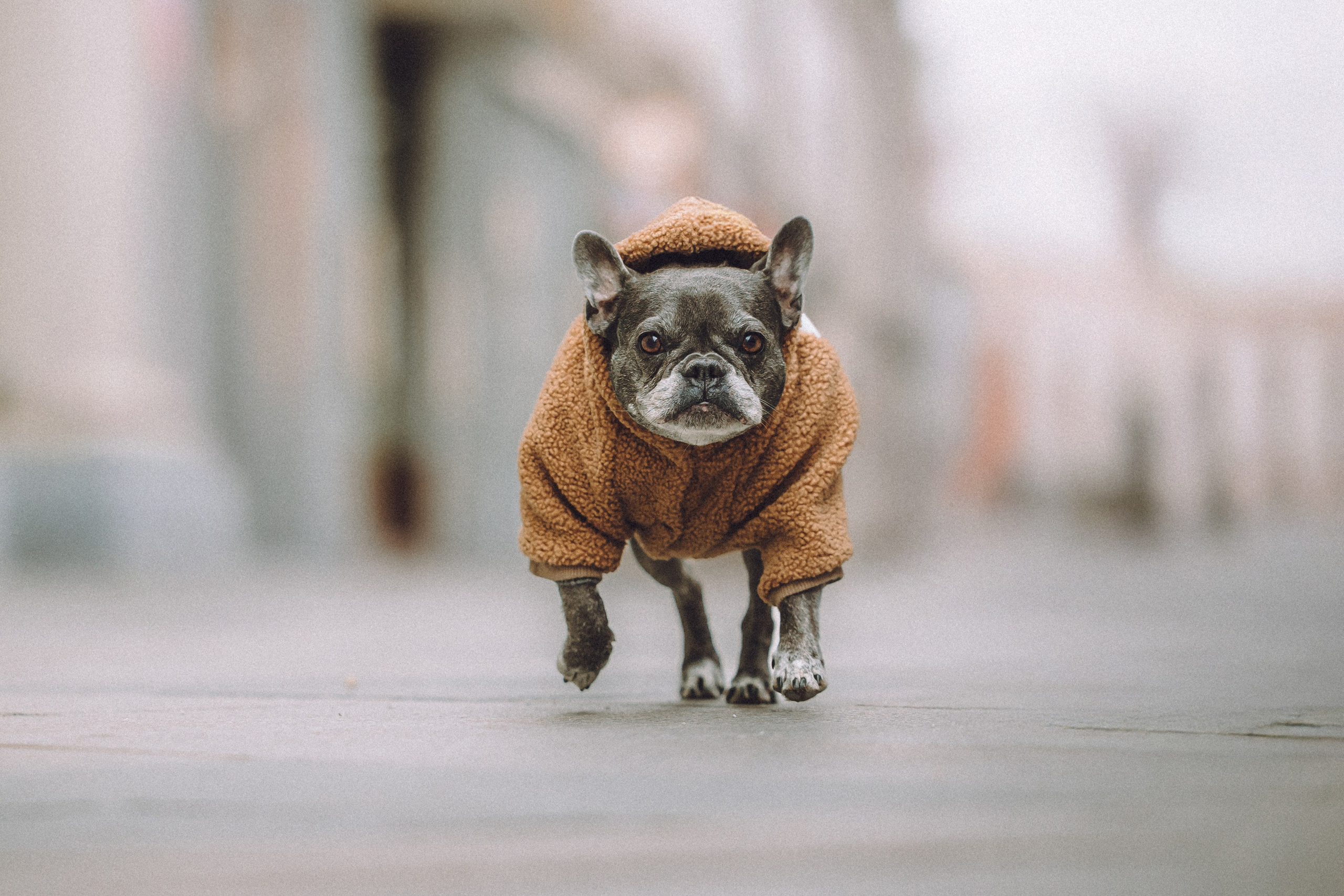 Юля, Вова и Моня