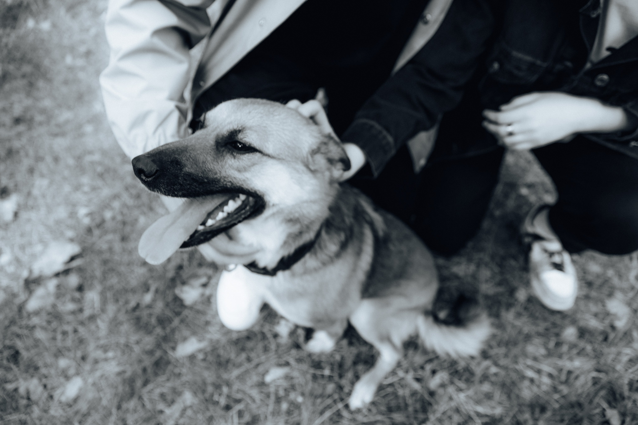 Влад и Алёна. Детский и семейный фотограф Катерина Мишина