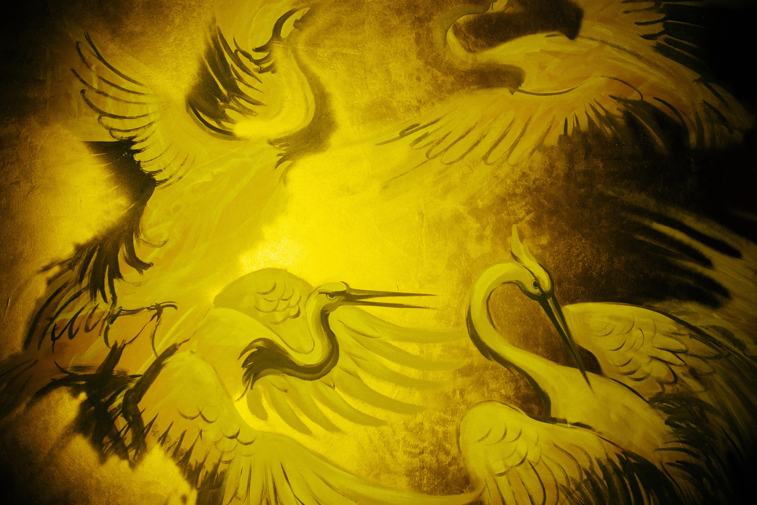 P O L I N A. Анастасия Турсунова арт-фотограф в Москве