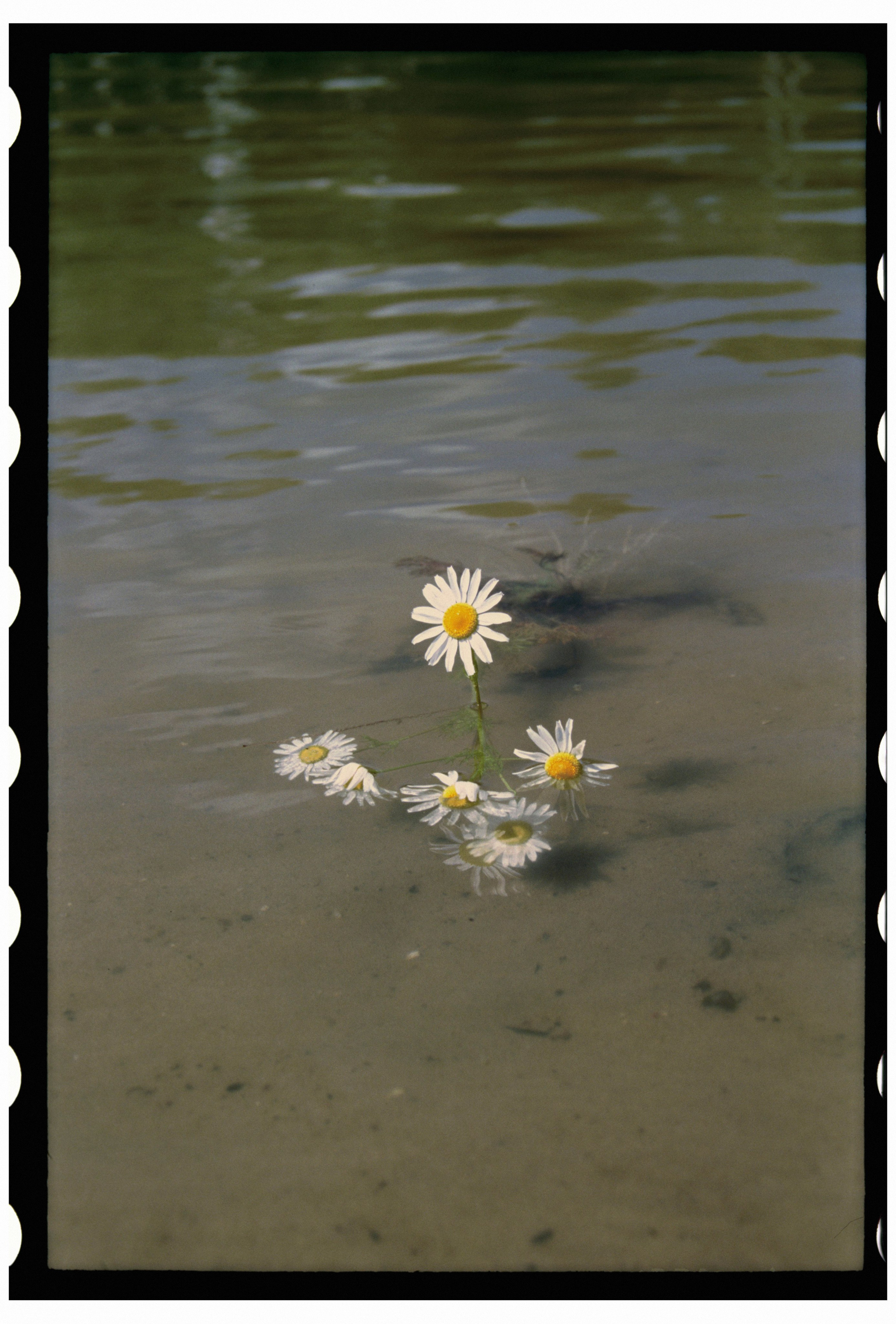 KALUGA. ANNA — PHOTOGRAPHER