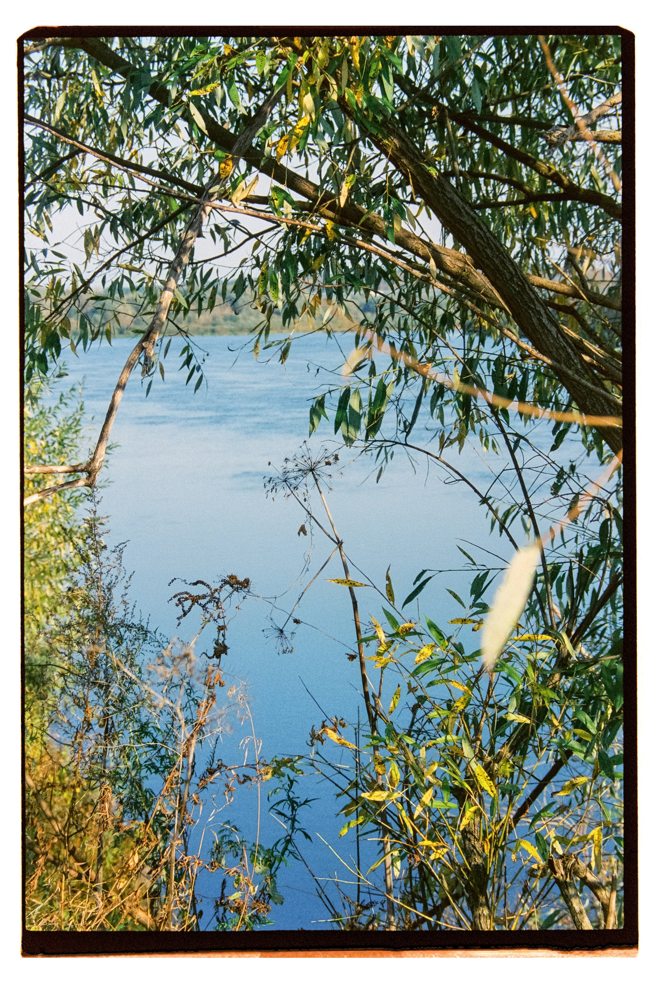 KALUGA. ANNA — PHOTOGRAPHER