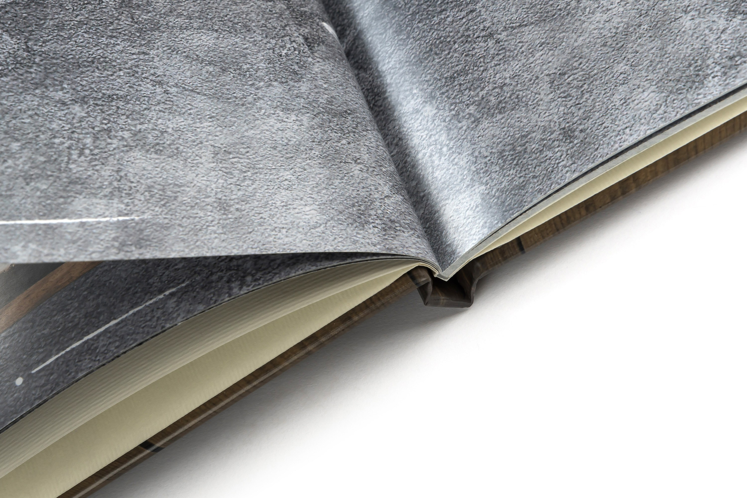 Постраничка. Выпускные альбомы в Томске. Леднева Олеся