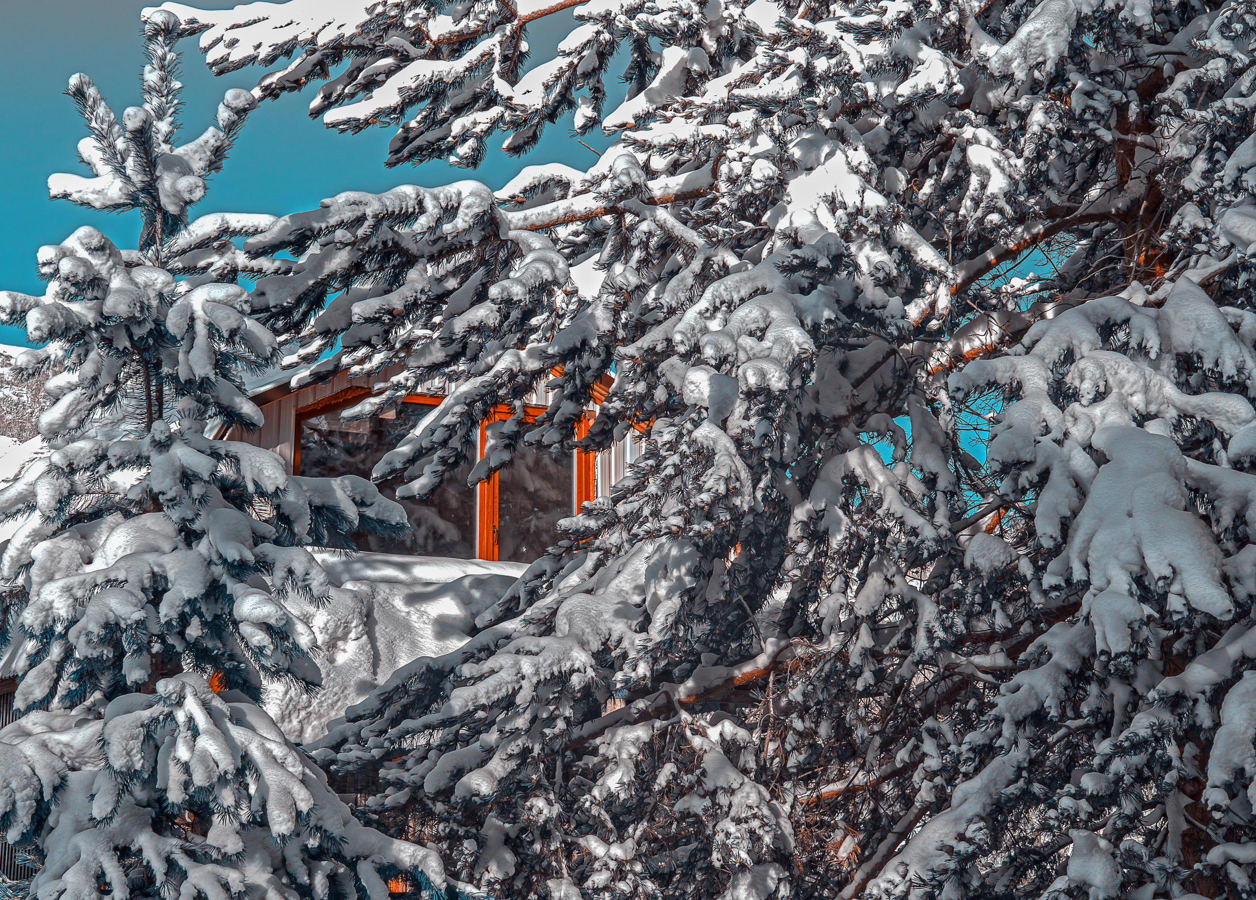 Фотограф Ворошилов Дмитрий. Эссо. Камчатка