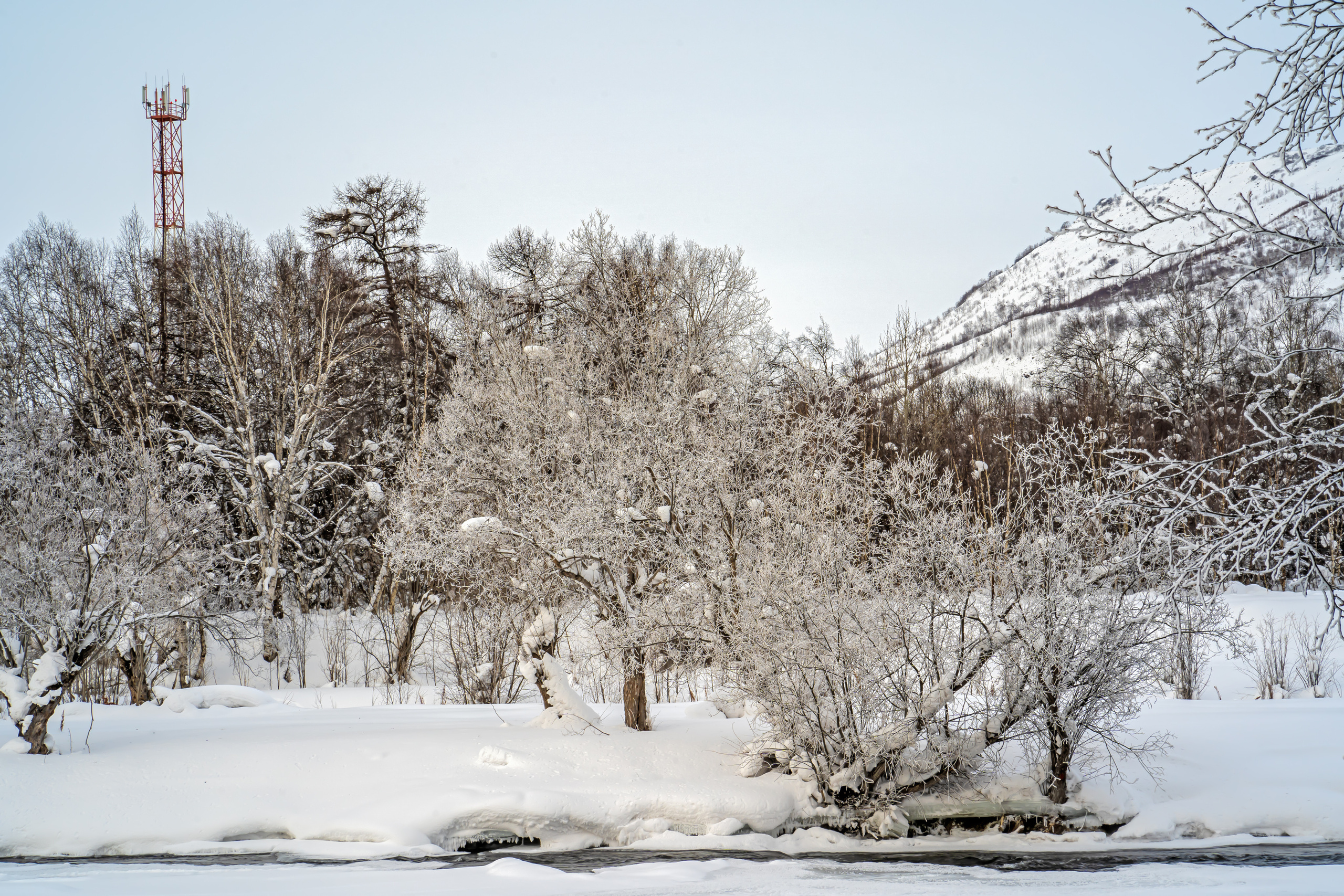 Эссо фото. Фотограф Ворошилов Дмитрий. Эссо. Камчатка