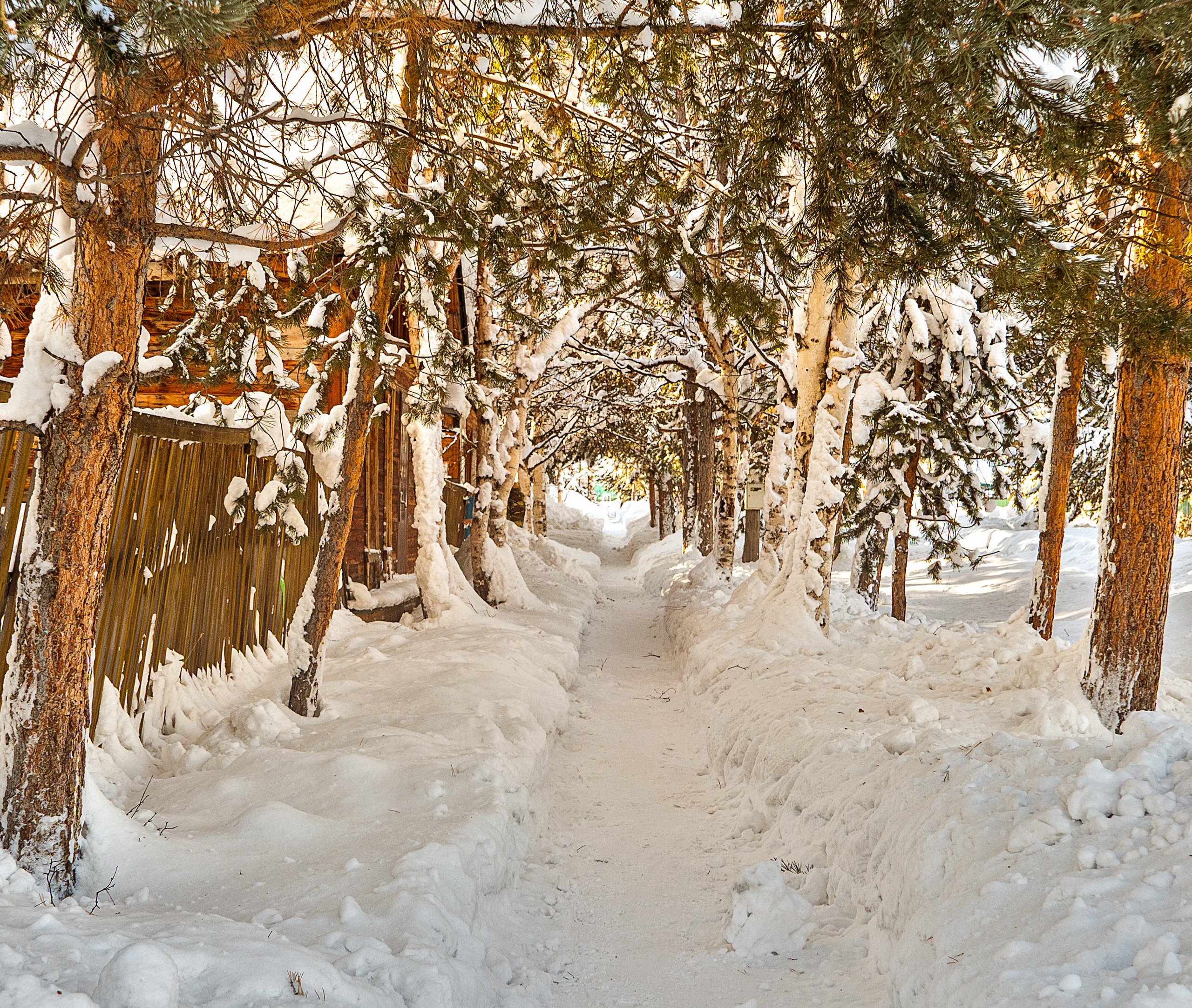 Фотограф Ворошилов Дмитрий. Эссо. Камчатка