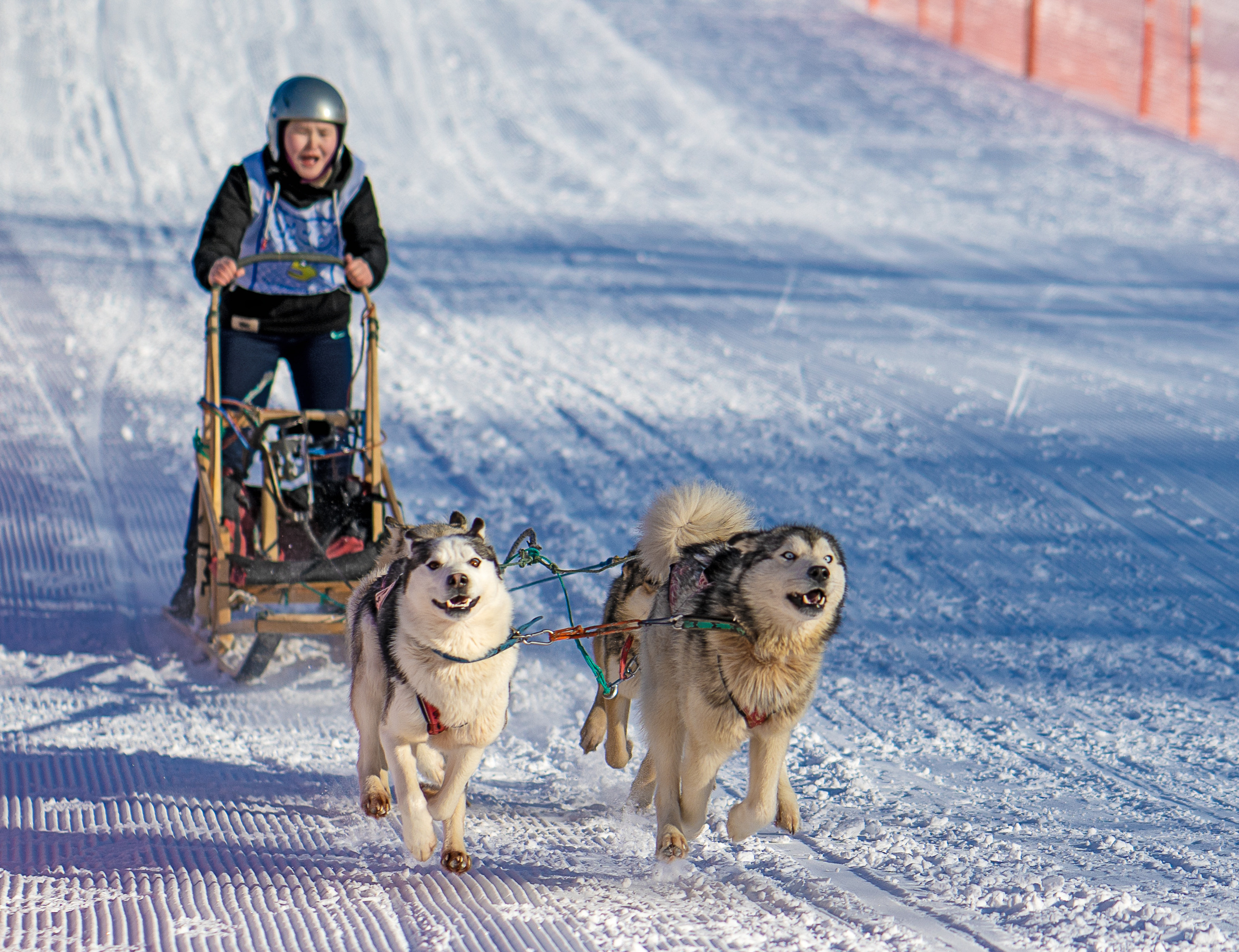 Гонки в эссо. Фотограф Ворошилов Дмитрий. Эссо. Камчатка