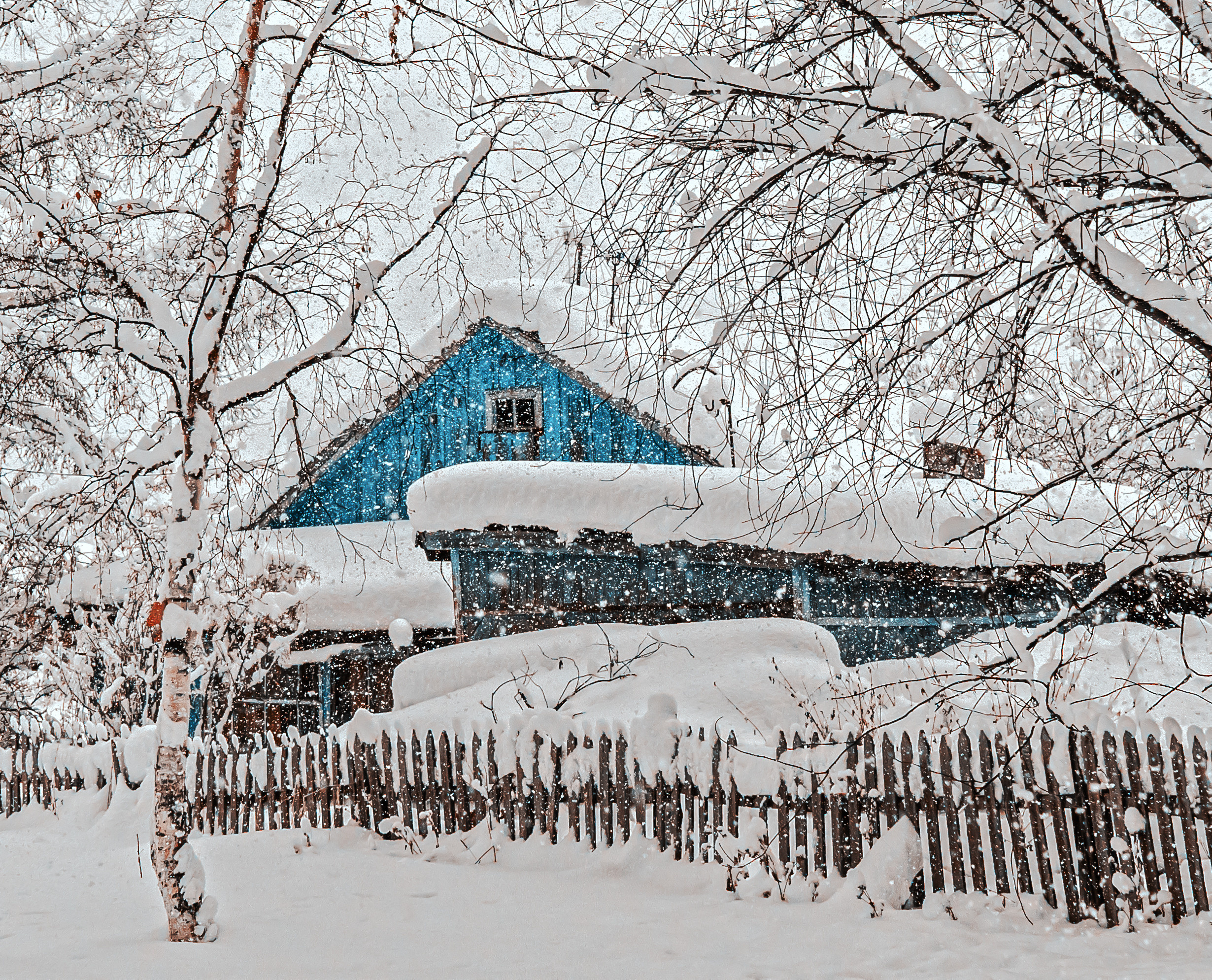 Фотограф Ворошилов Дмитрий. Эссо. Камчатка