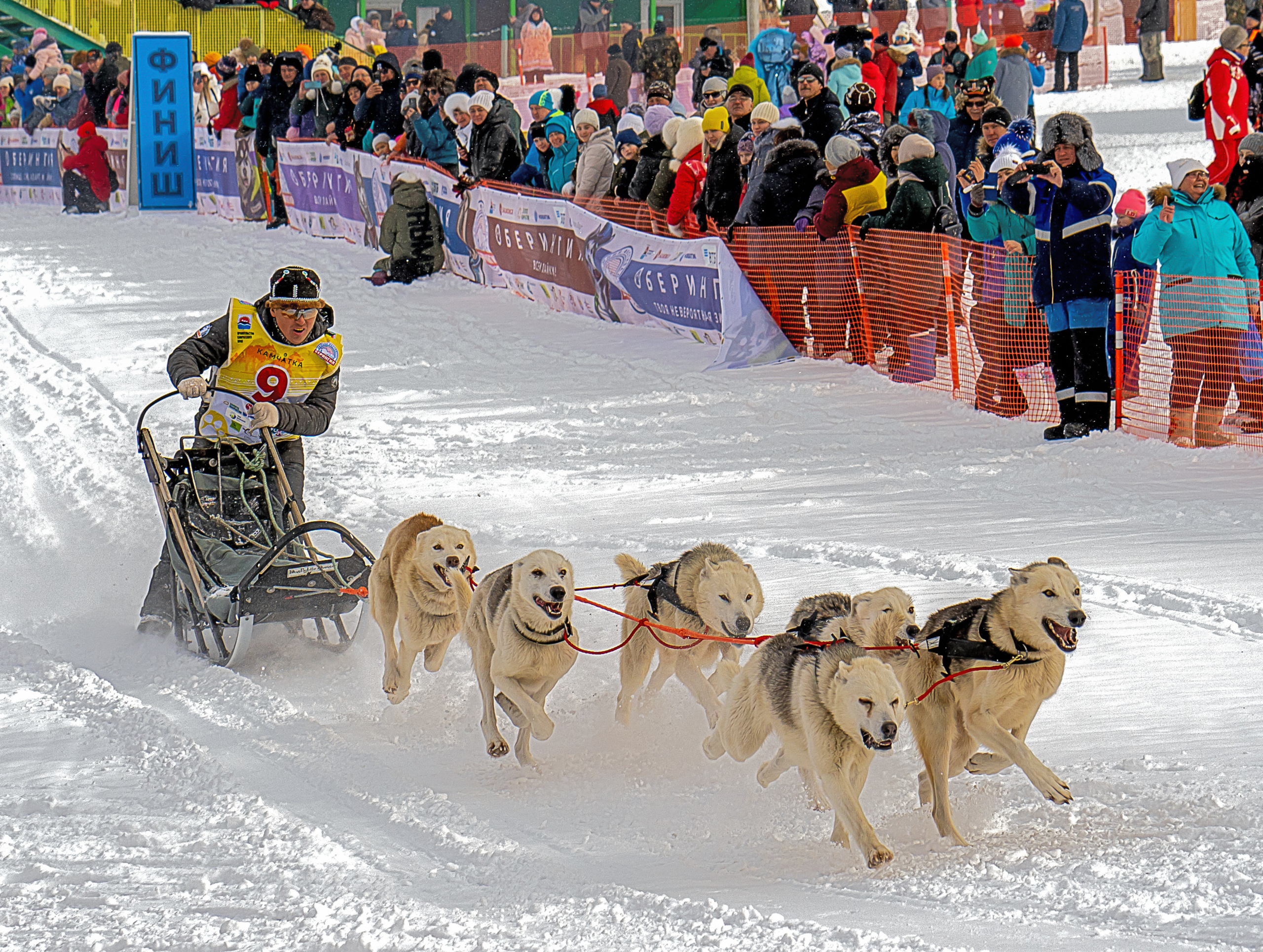 Эссо фото. Фотограф Ворошилов Дмитрий. Эссо. Камчатка