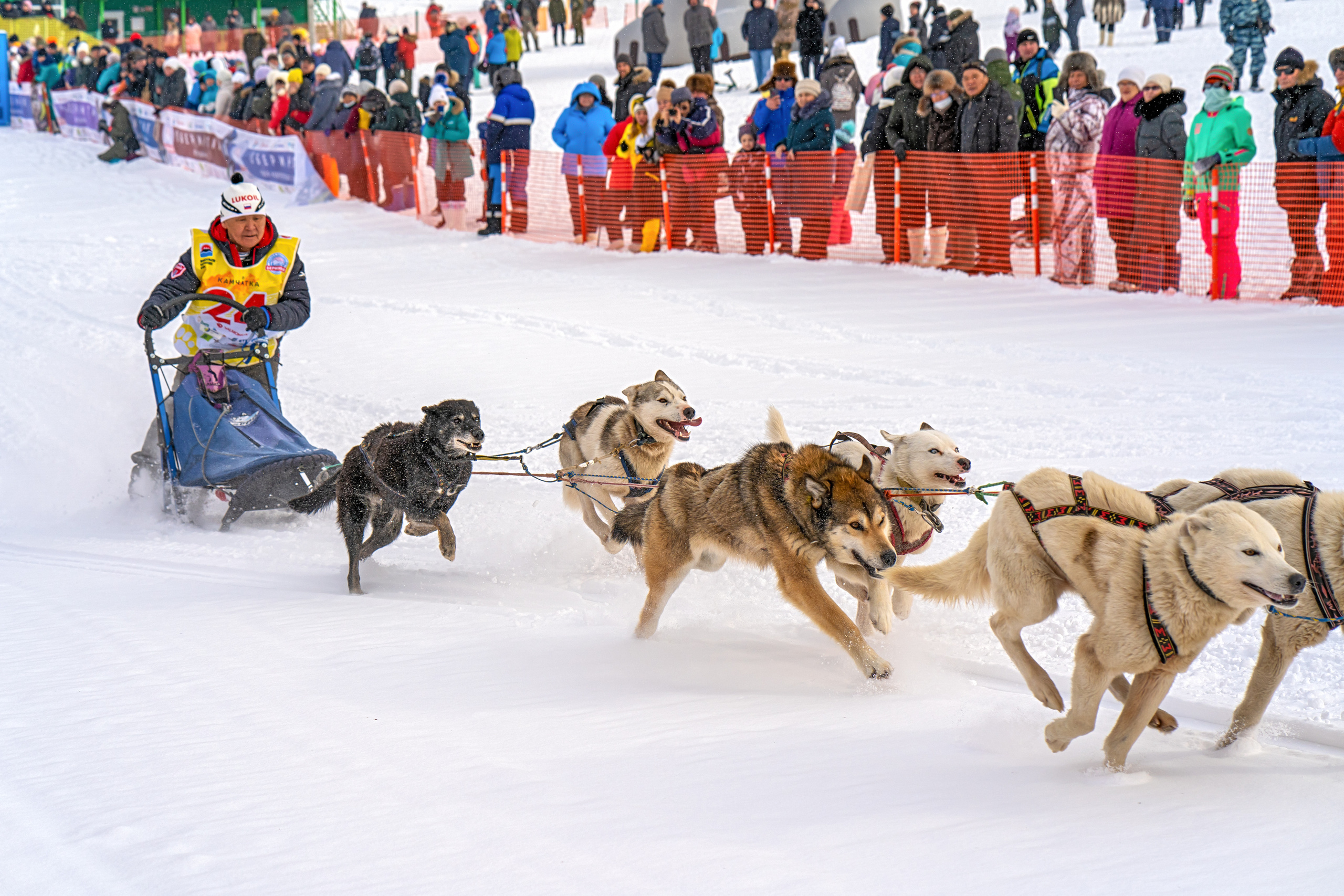 Эссо фото. Фотограф Ворошилов Дмитрий. Эссо. Камчатка