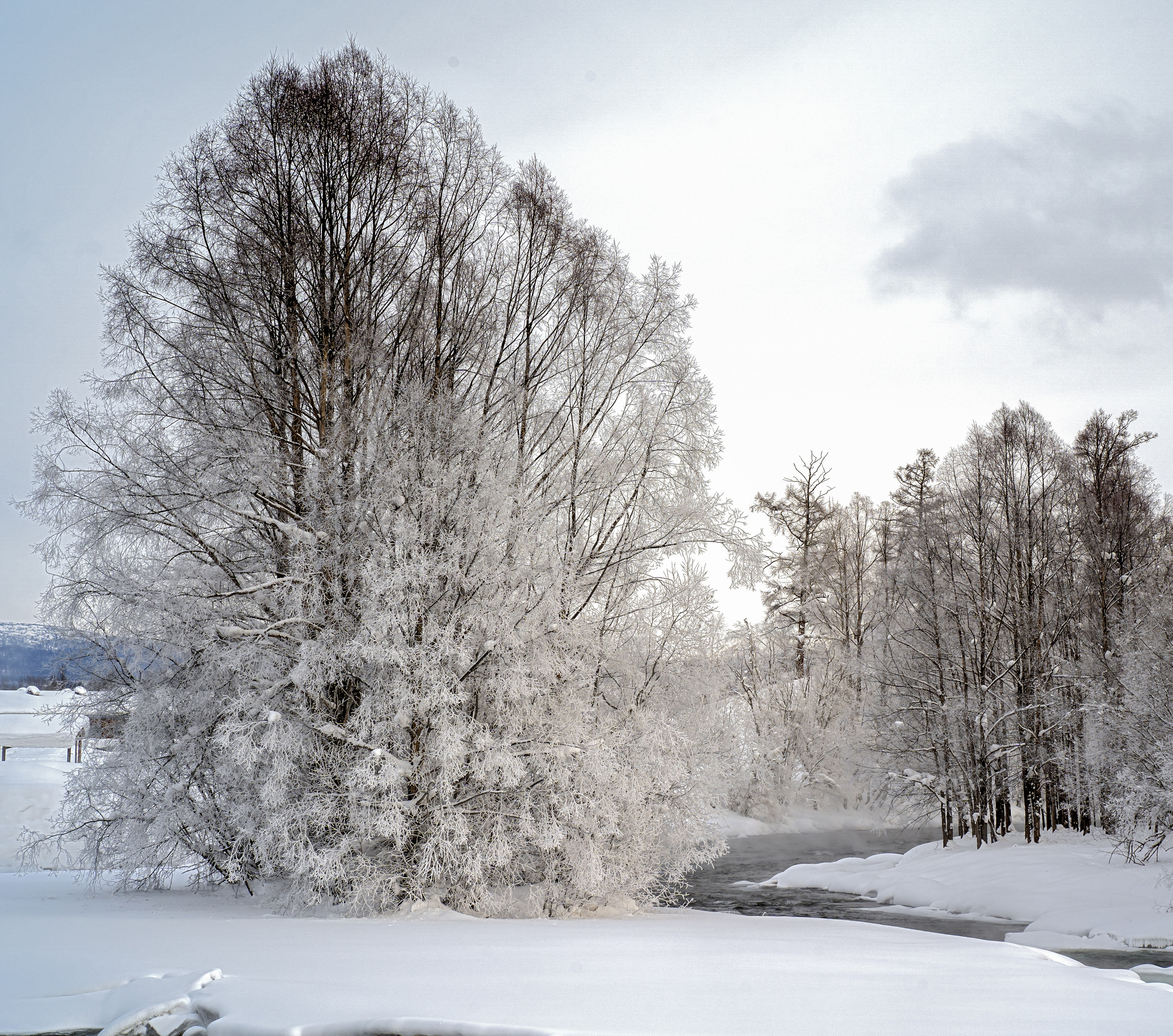 Эссо фото. Фотограф Ворошилов Дмитрий. Эссо. Камчатка