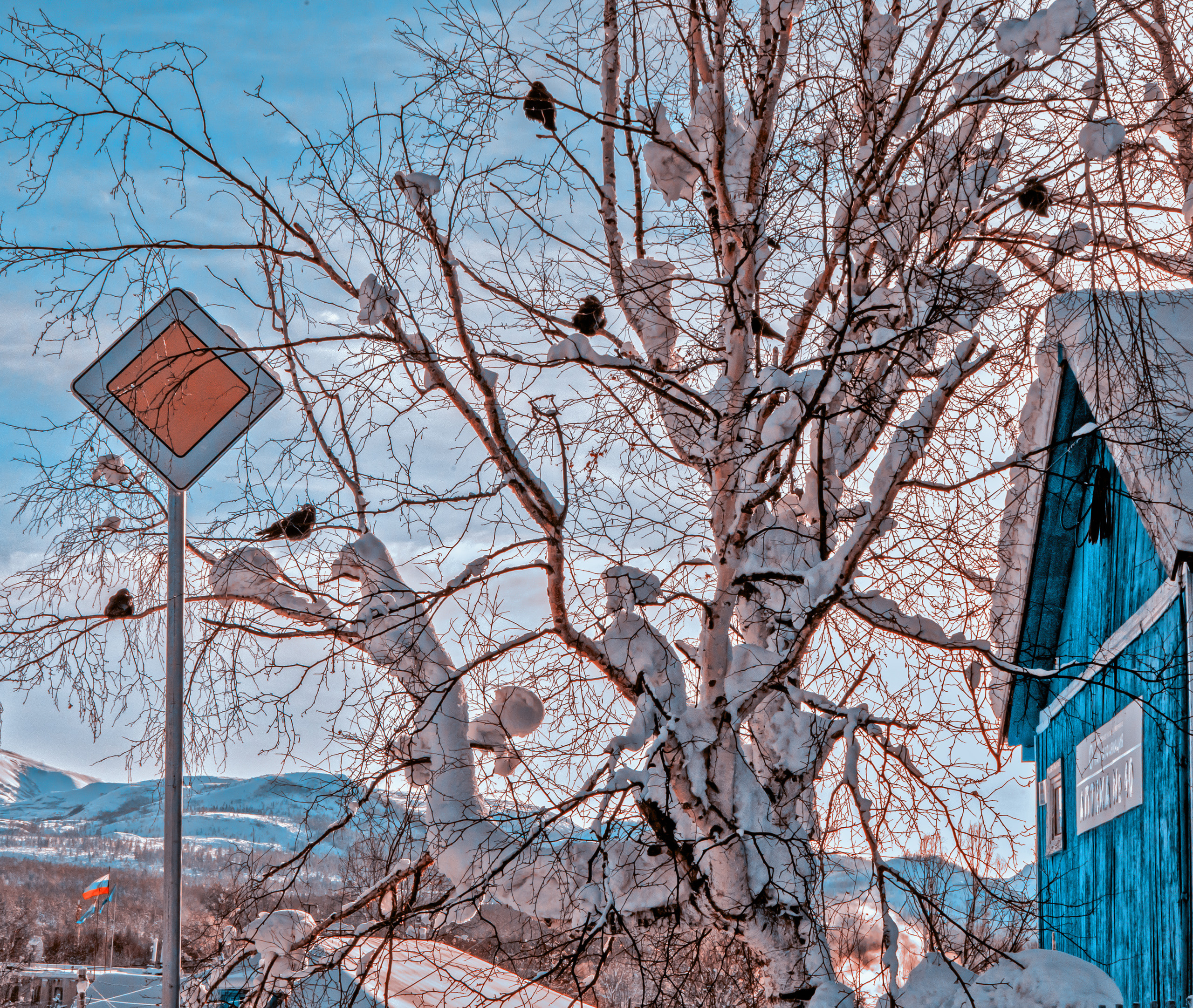 Эссо фото. Фотограф Ворошилов Дмитрий. Эссо. Камчатка